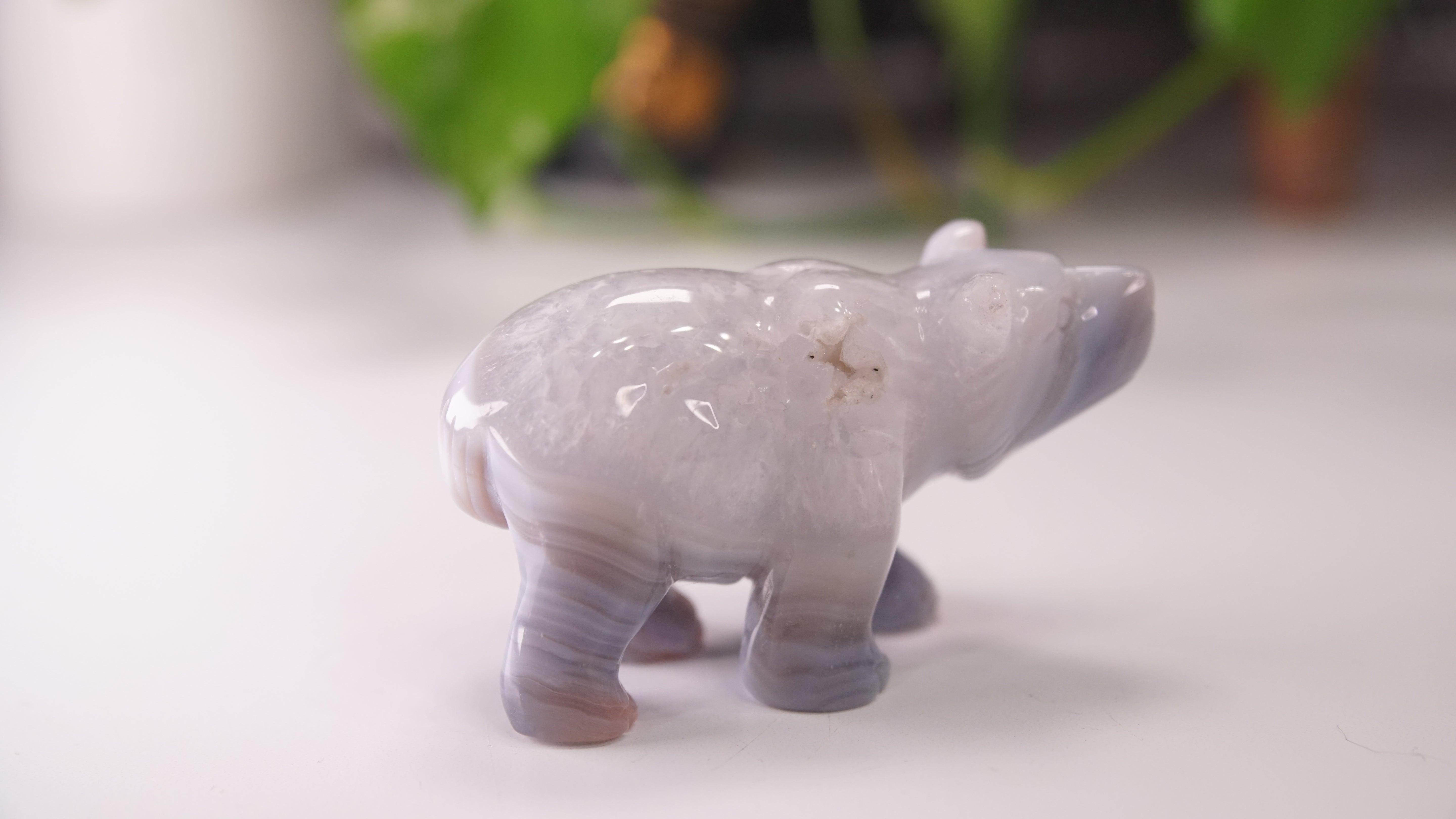 Druzy Agate Hand Carved Bear Carving | Crystal Carving Statement Piece