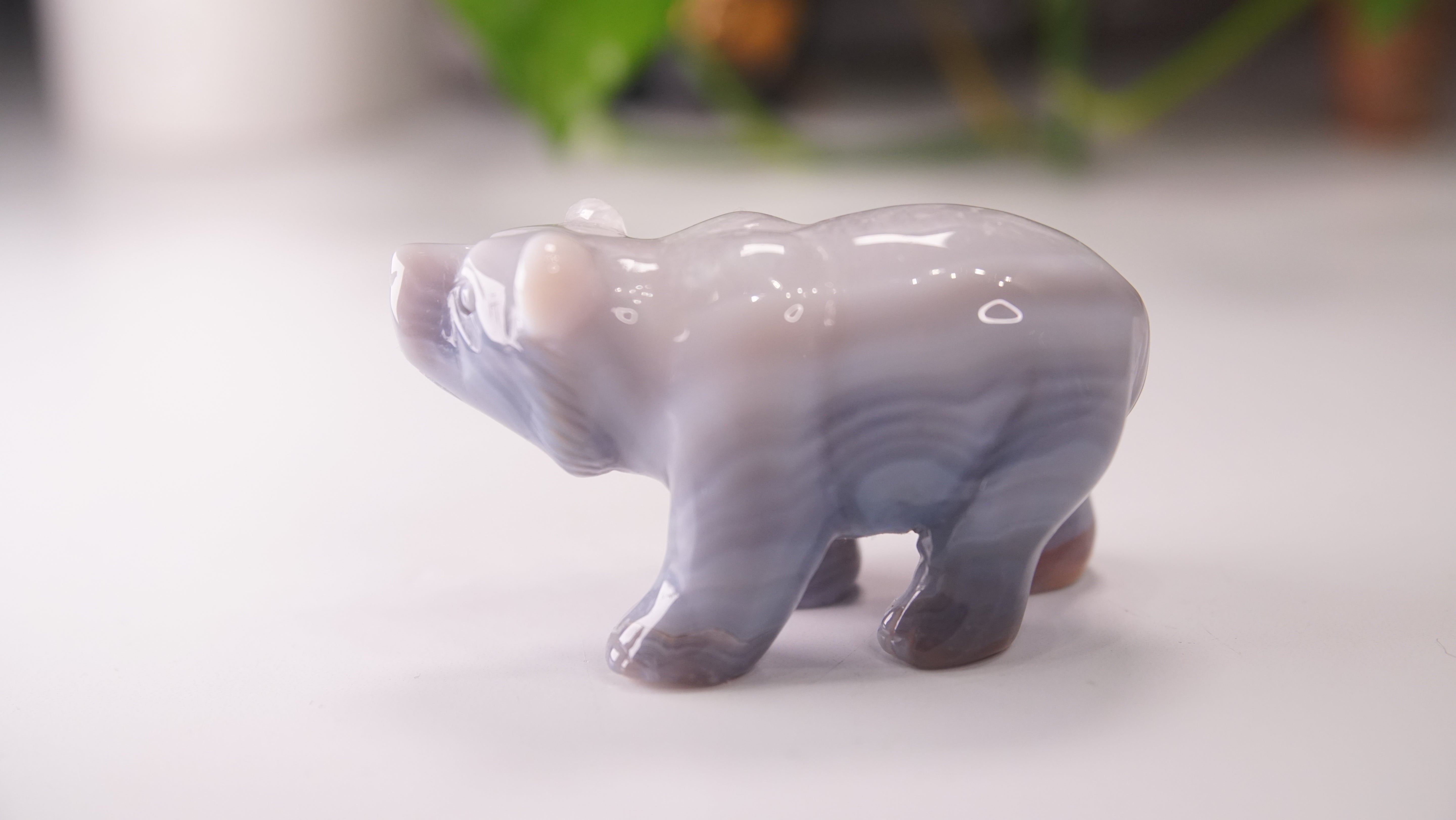 Druzy Agate Hand Carved Bear Carving | Crystal Carving Statement Piece