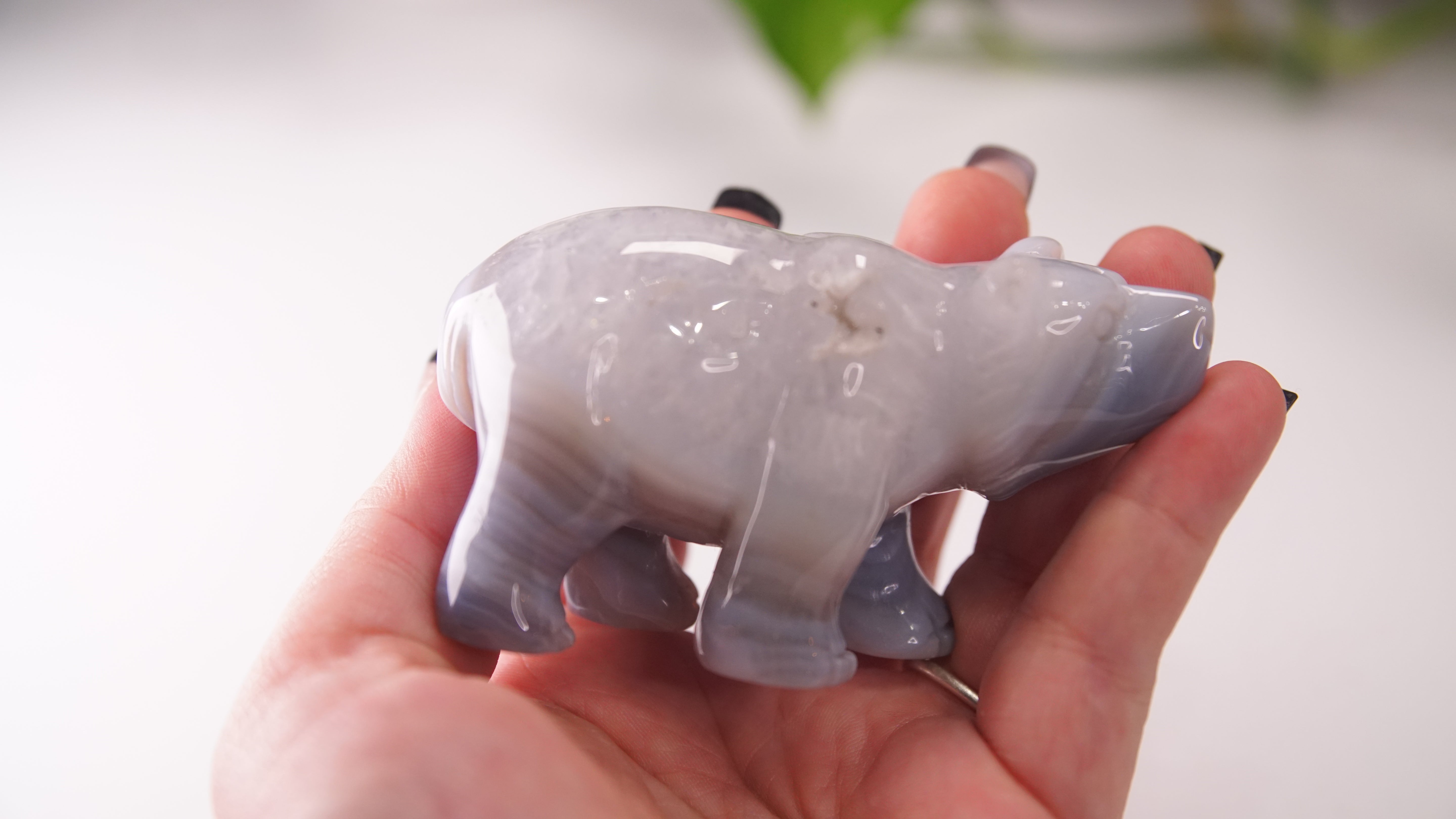 Druzy Agate Hand Carved Bear Carving | Crystal Carving Statement Piece