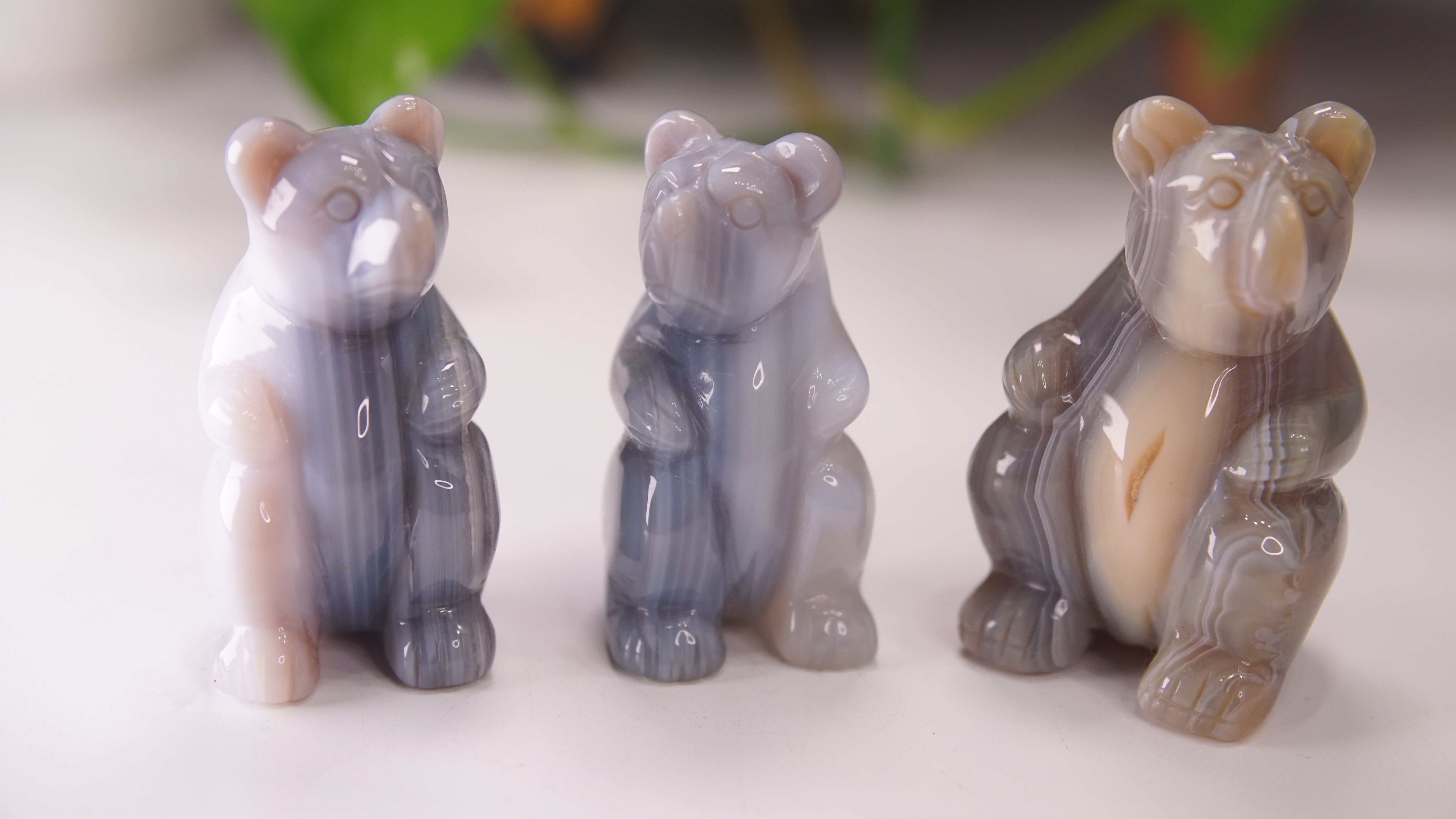 Druzy Agate Hand Carved Bear Carving | Crystal Carving Statement Piece