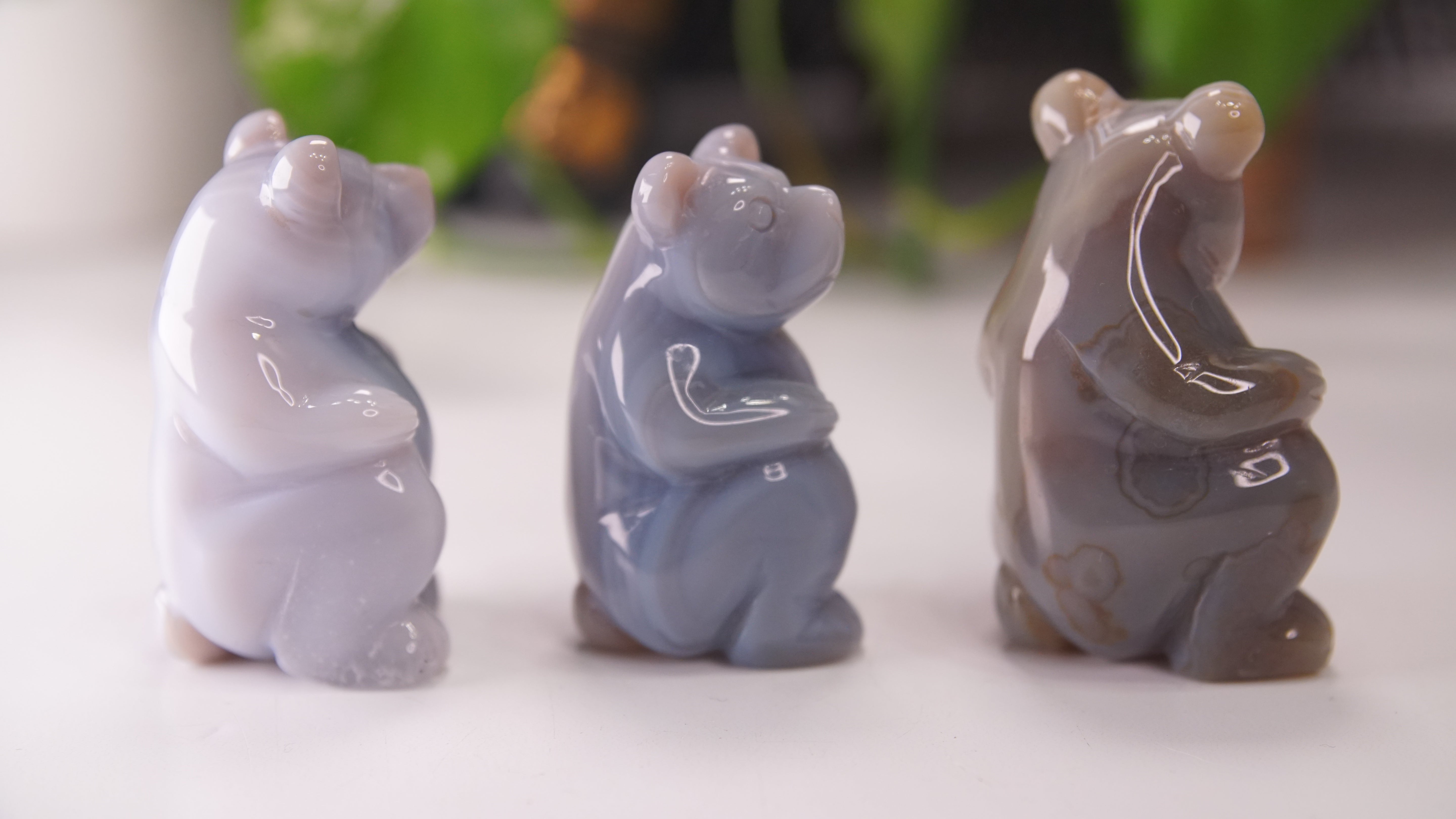 Druzy Agate Hand Carved Bear Carving | Crystal Carving Statement Piece