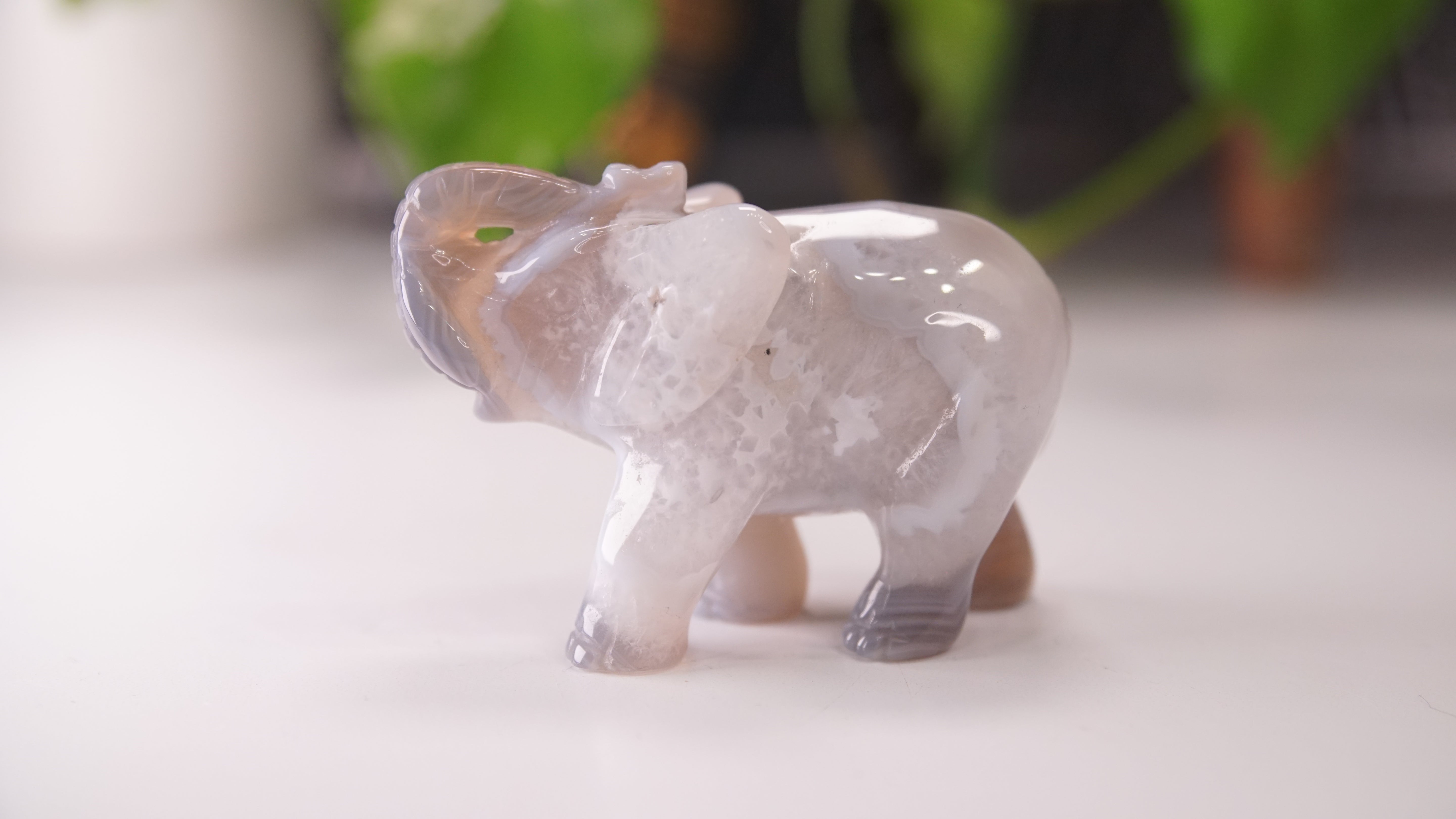 Druzy Agate Hand Carved Elephant Carving | Crystal Carving Statement Piece
