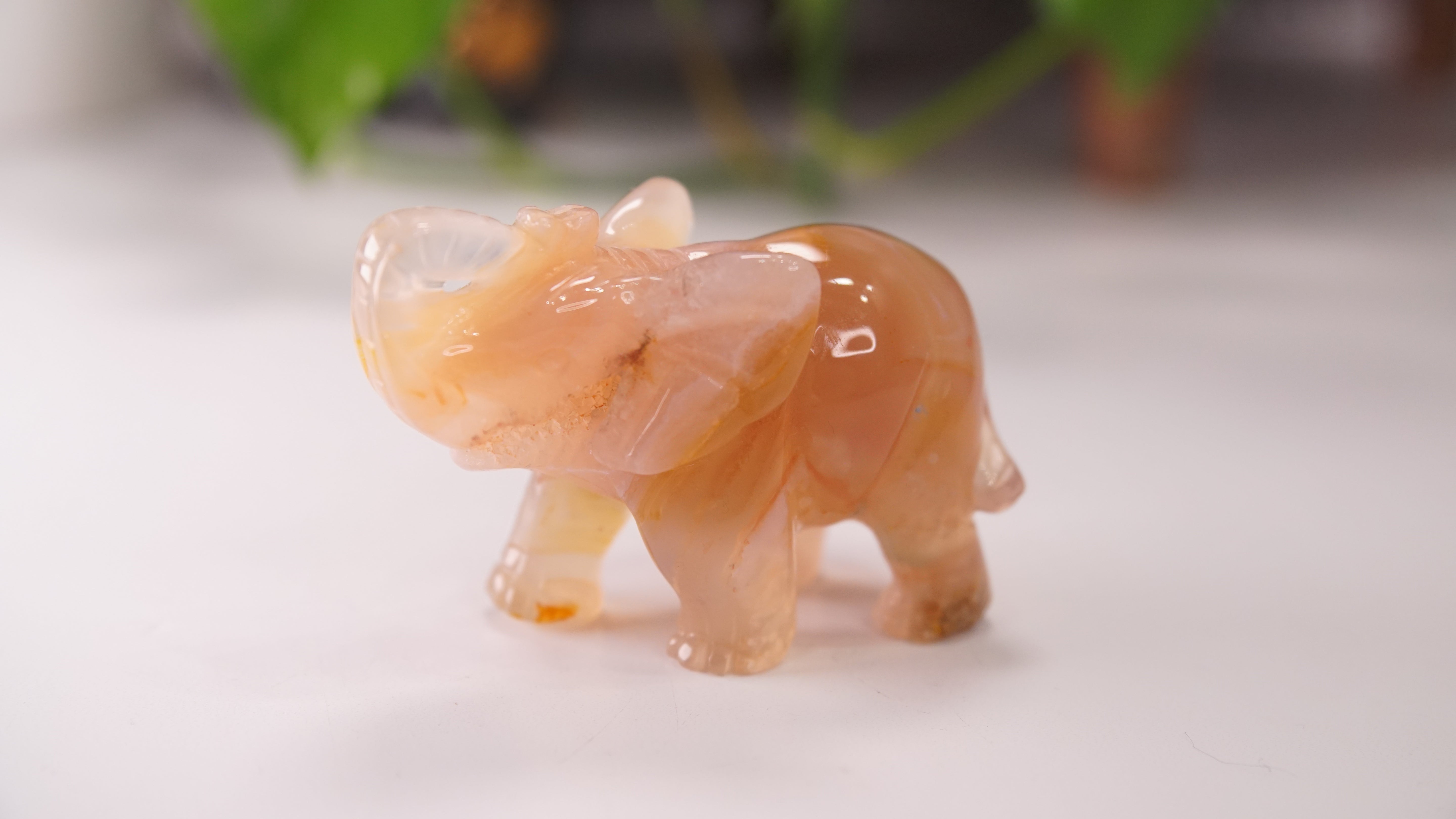 Druzy Agate Hand Carved Elephant Carving | Crystal Carving Statement Piece