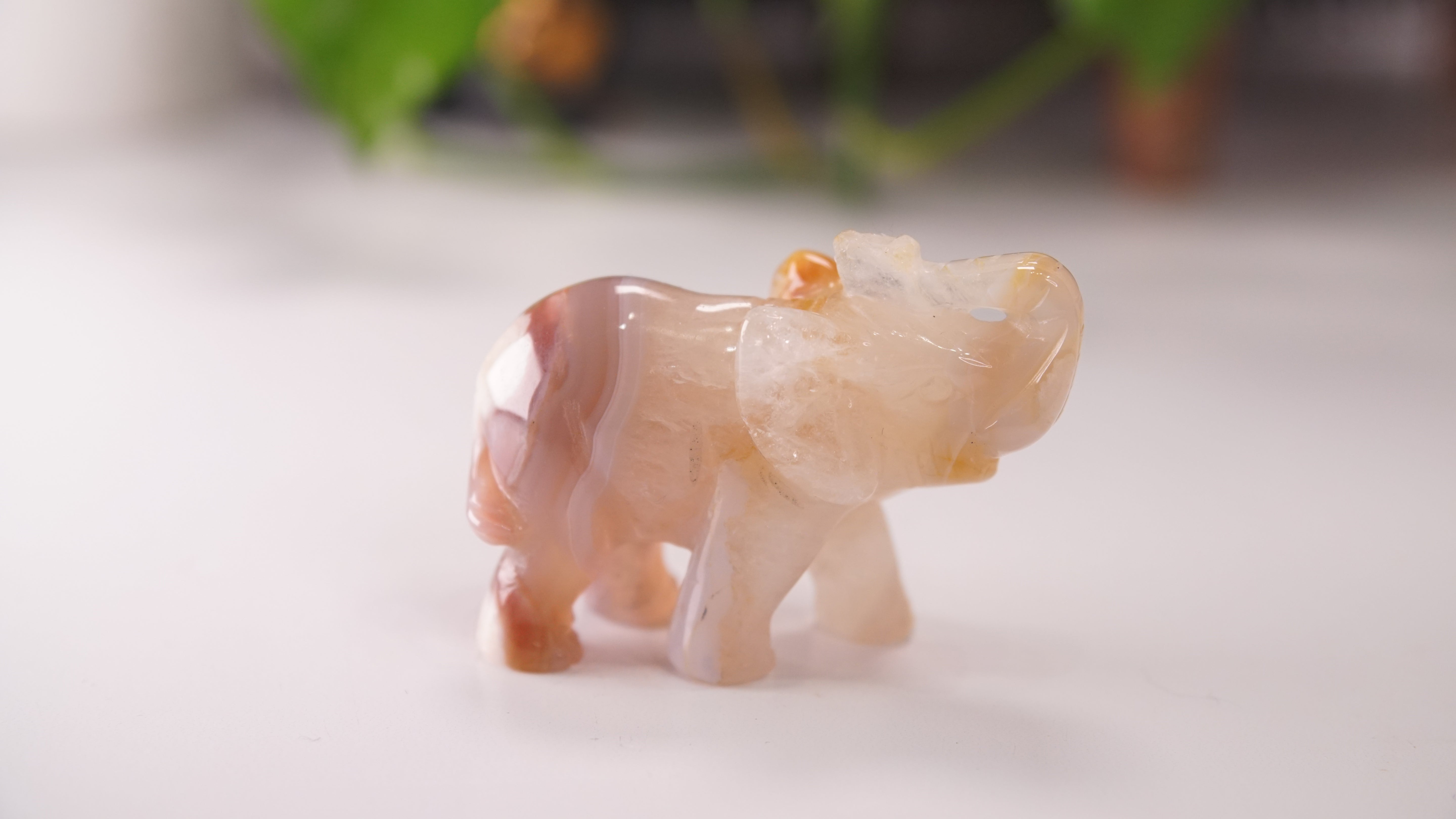 Druzy Agate Hand Carved Elephant Carving | Crystal Carving Statement Piece