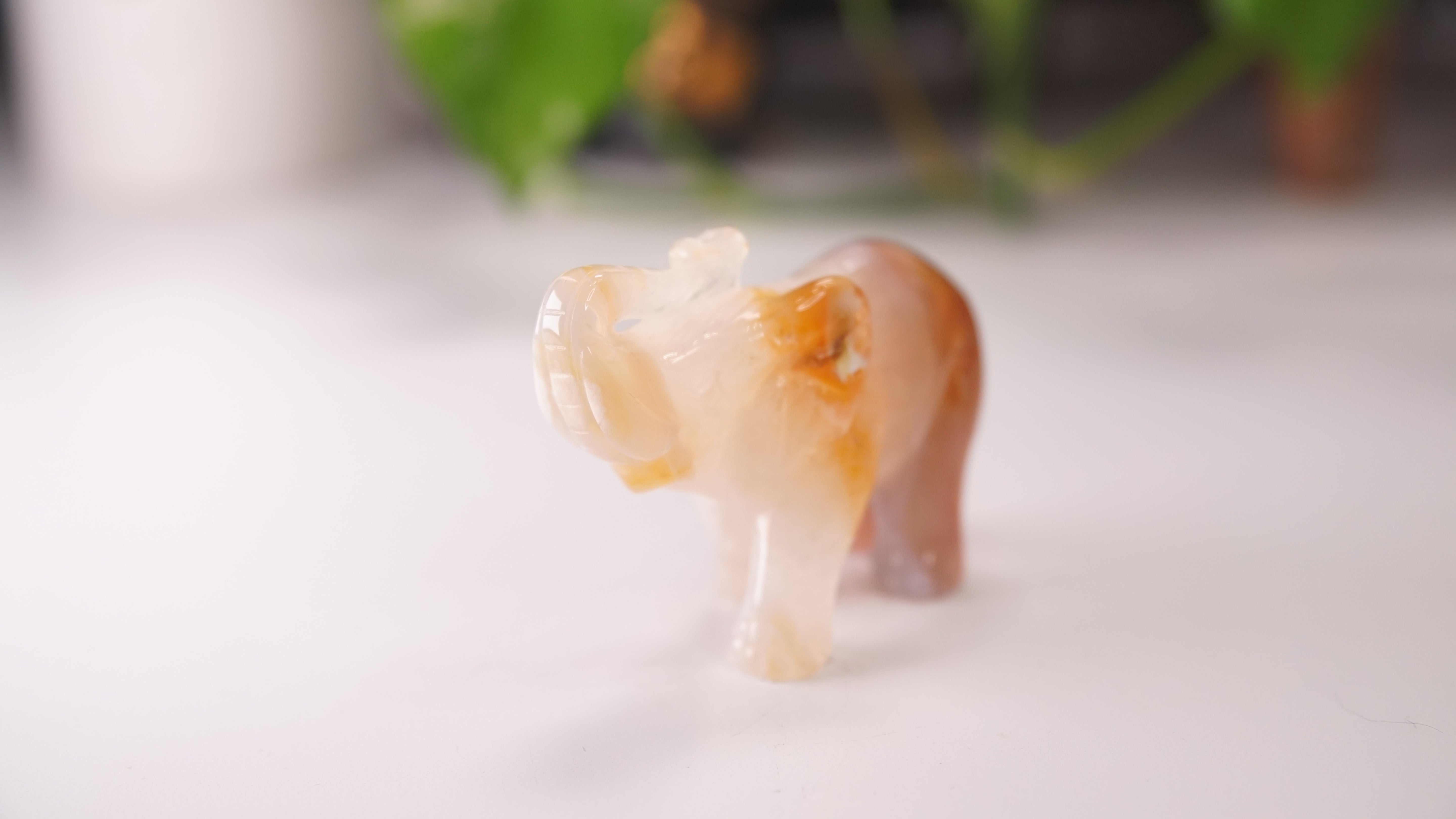 Druzy Agate Hand Carved Elephant Carving | Crystal Carving Statement Piece