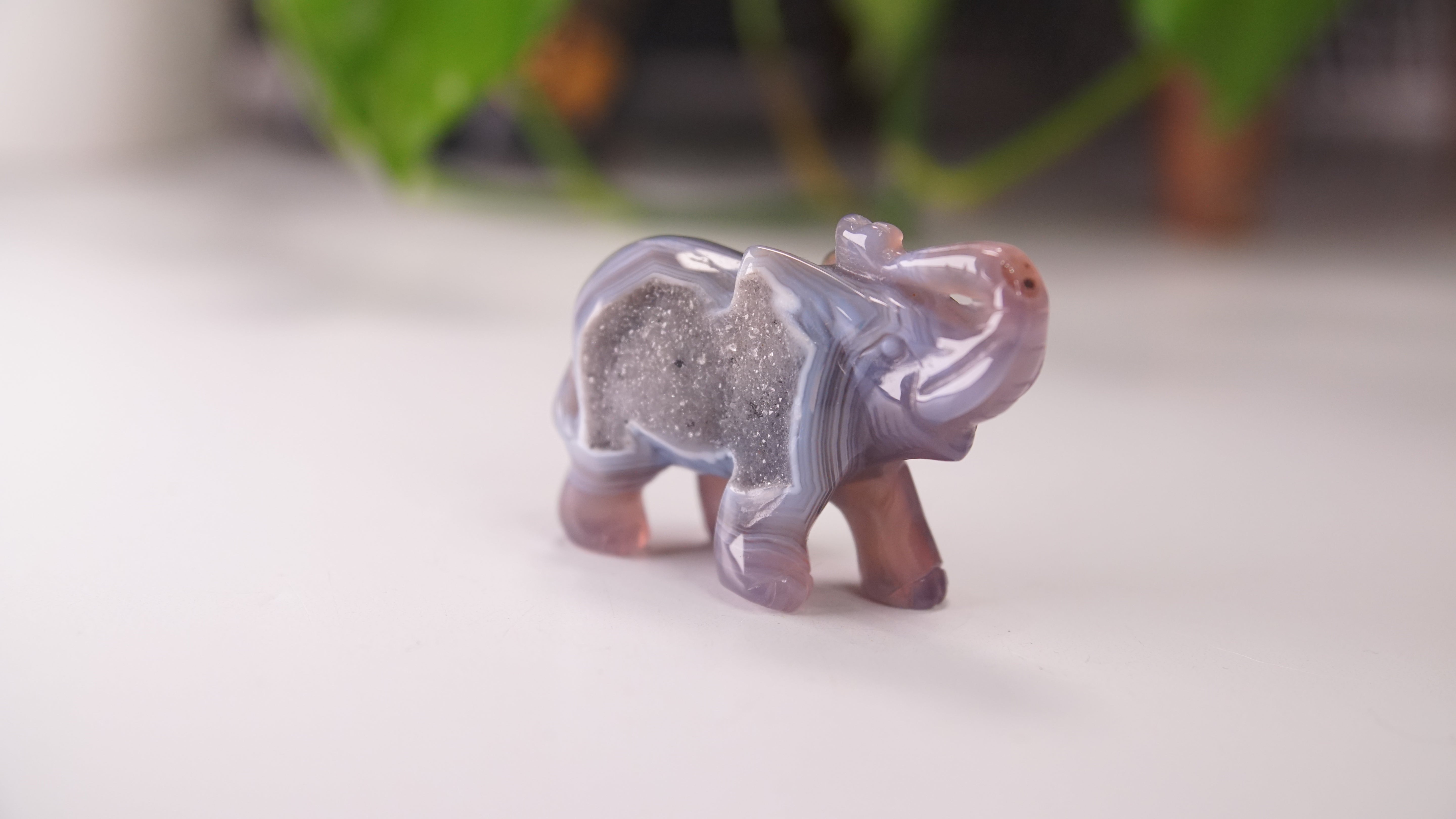 Druzy Agate Hand Carved Elephant Carving | Crystal Carving Statement Piece