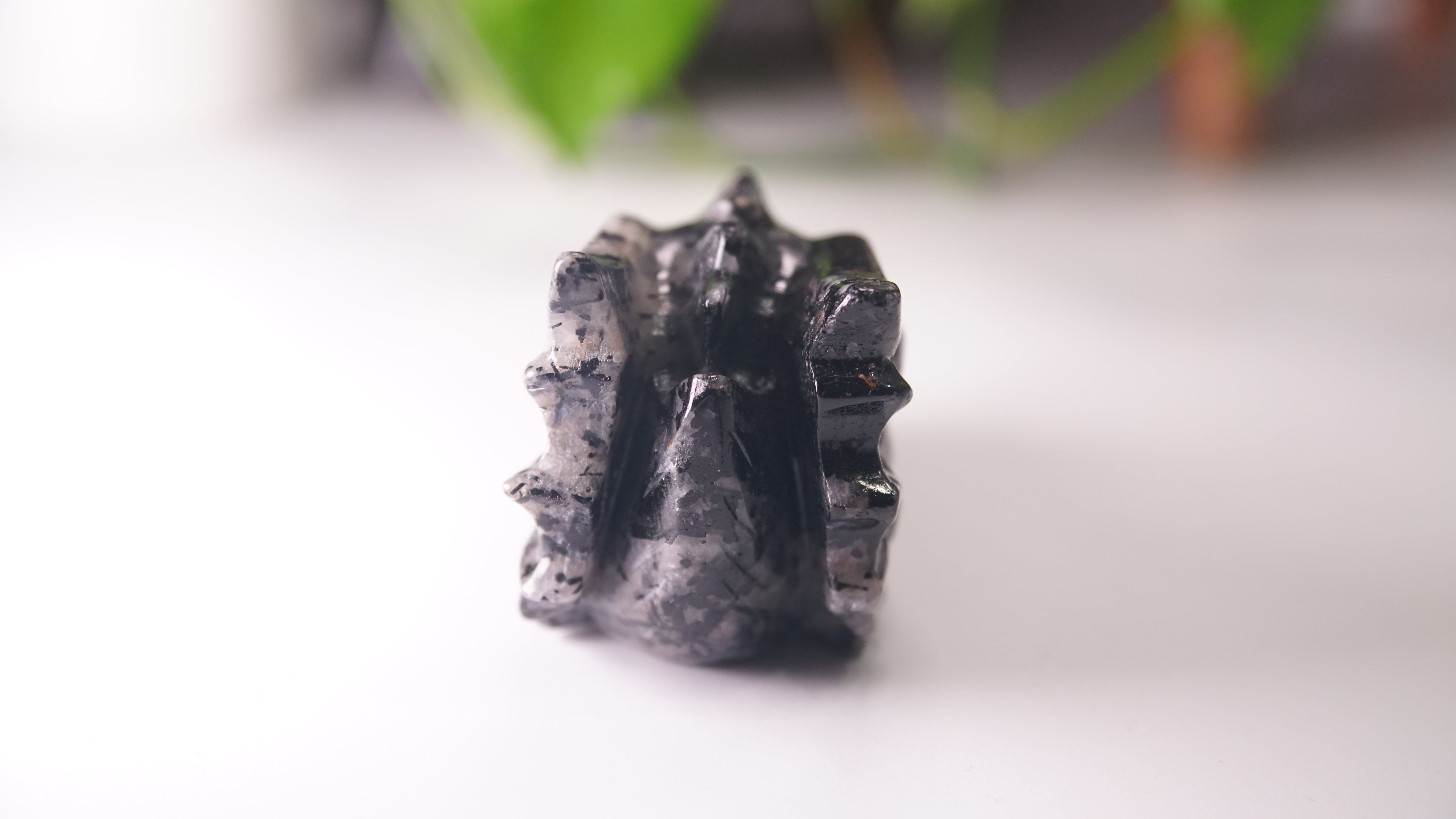 Gorgeous Black Tourmaline In Quartz Dragon Skull