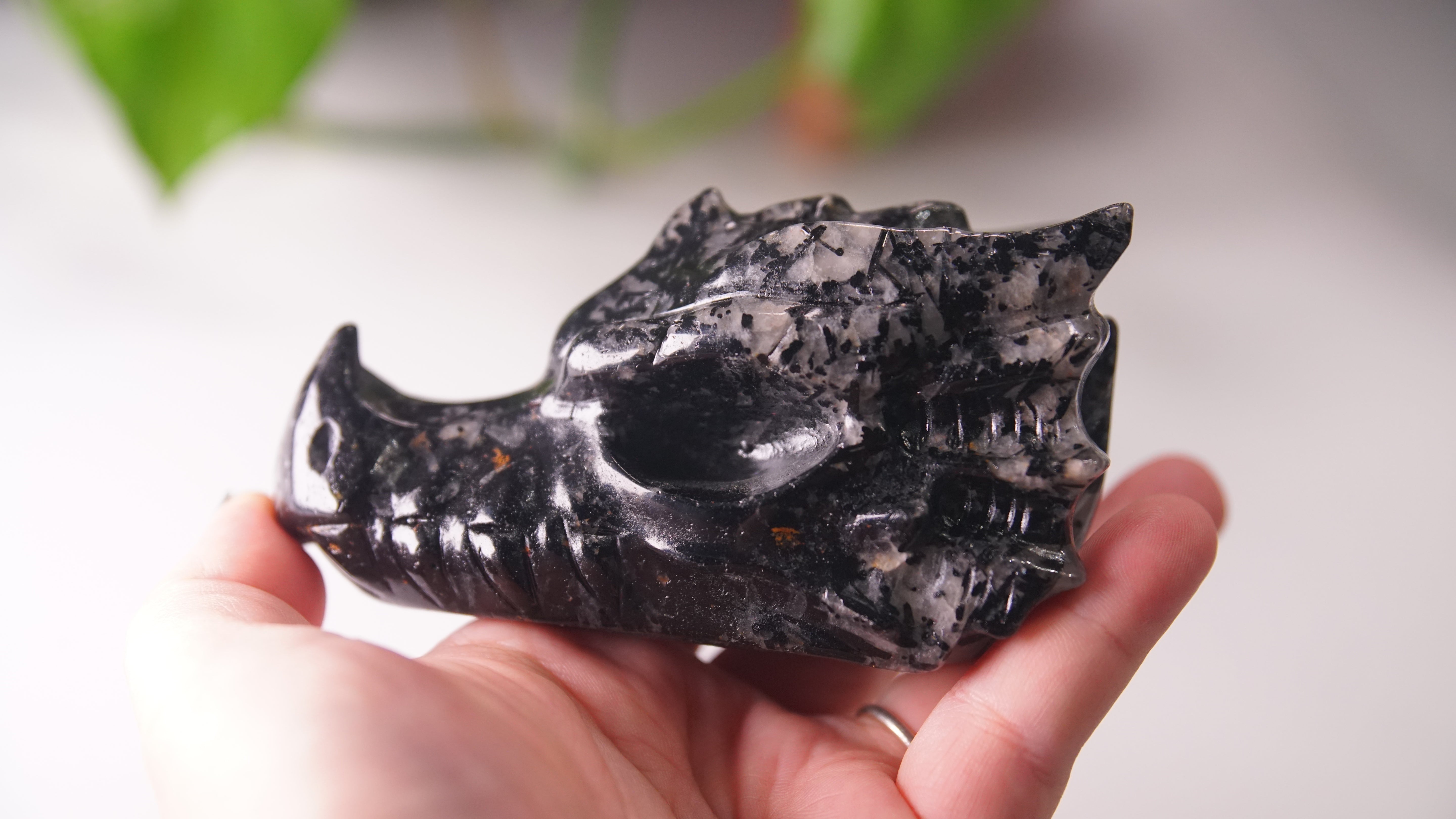 Gorgeous Black Tourmaline In Quartz Dragon Skull