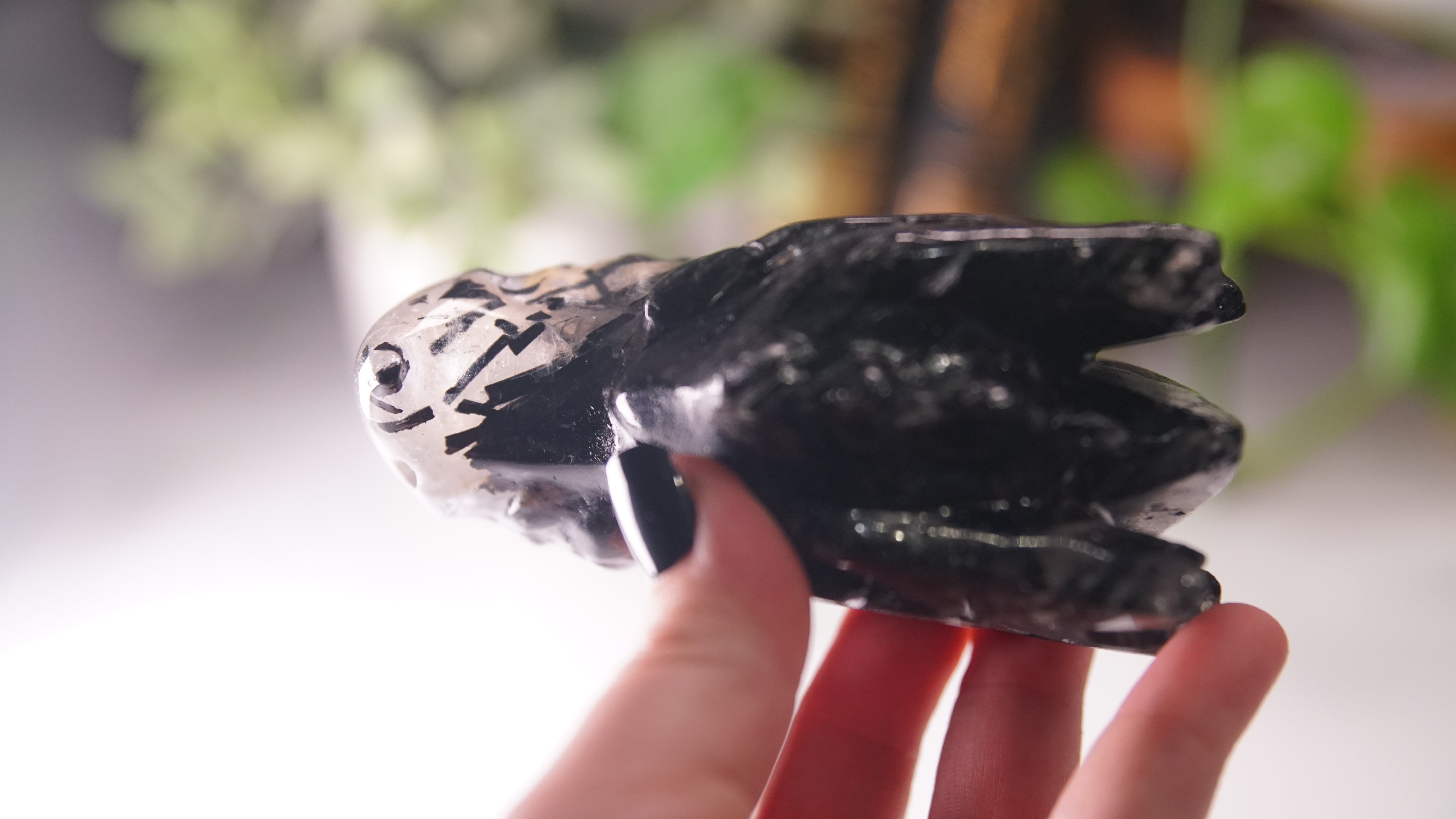 Gorgeous Black Tourmaline In Quartz Dragon Skull