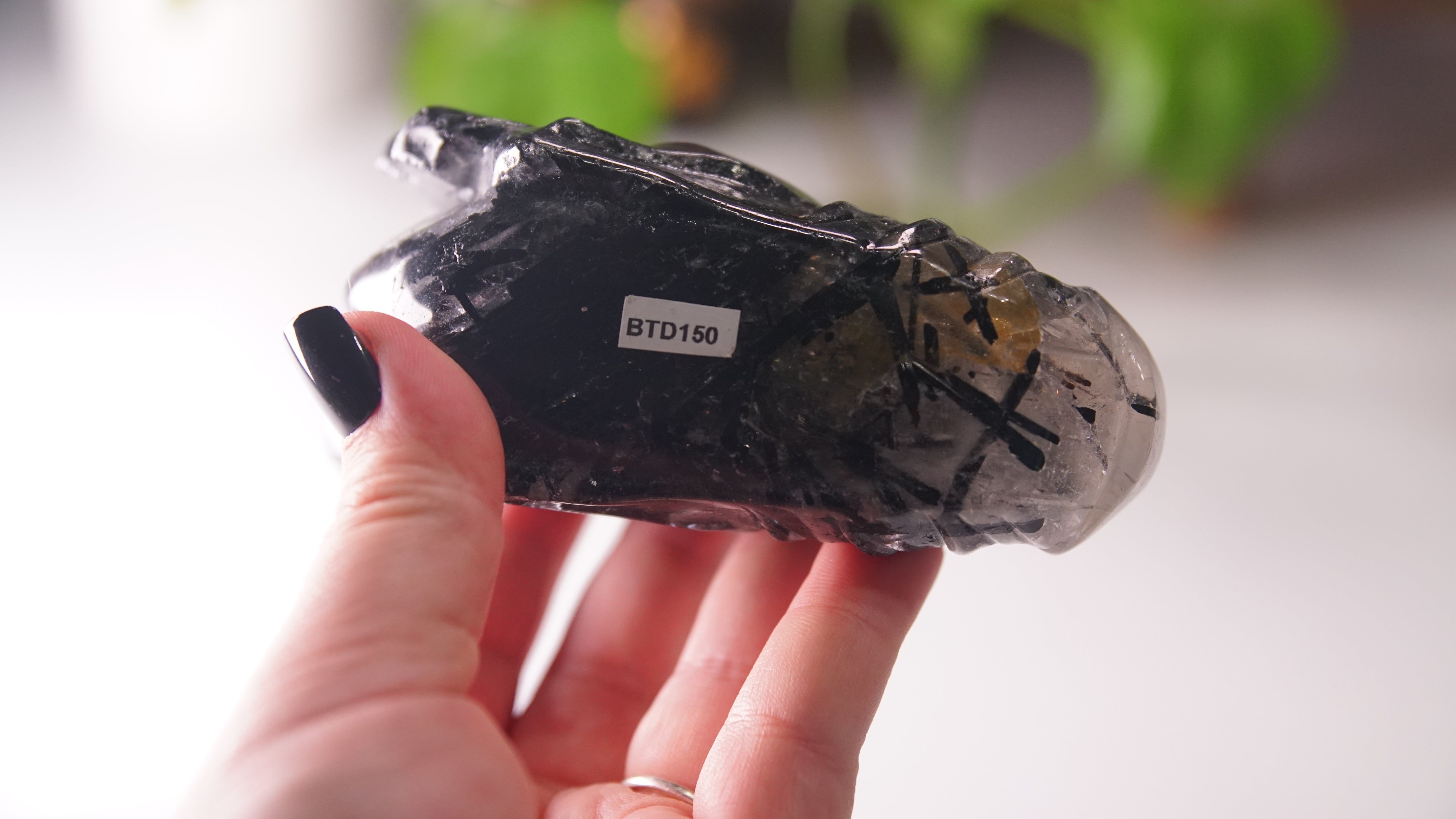 Gorgeous Black Tourmaline In Quartz Dragon Skull