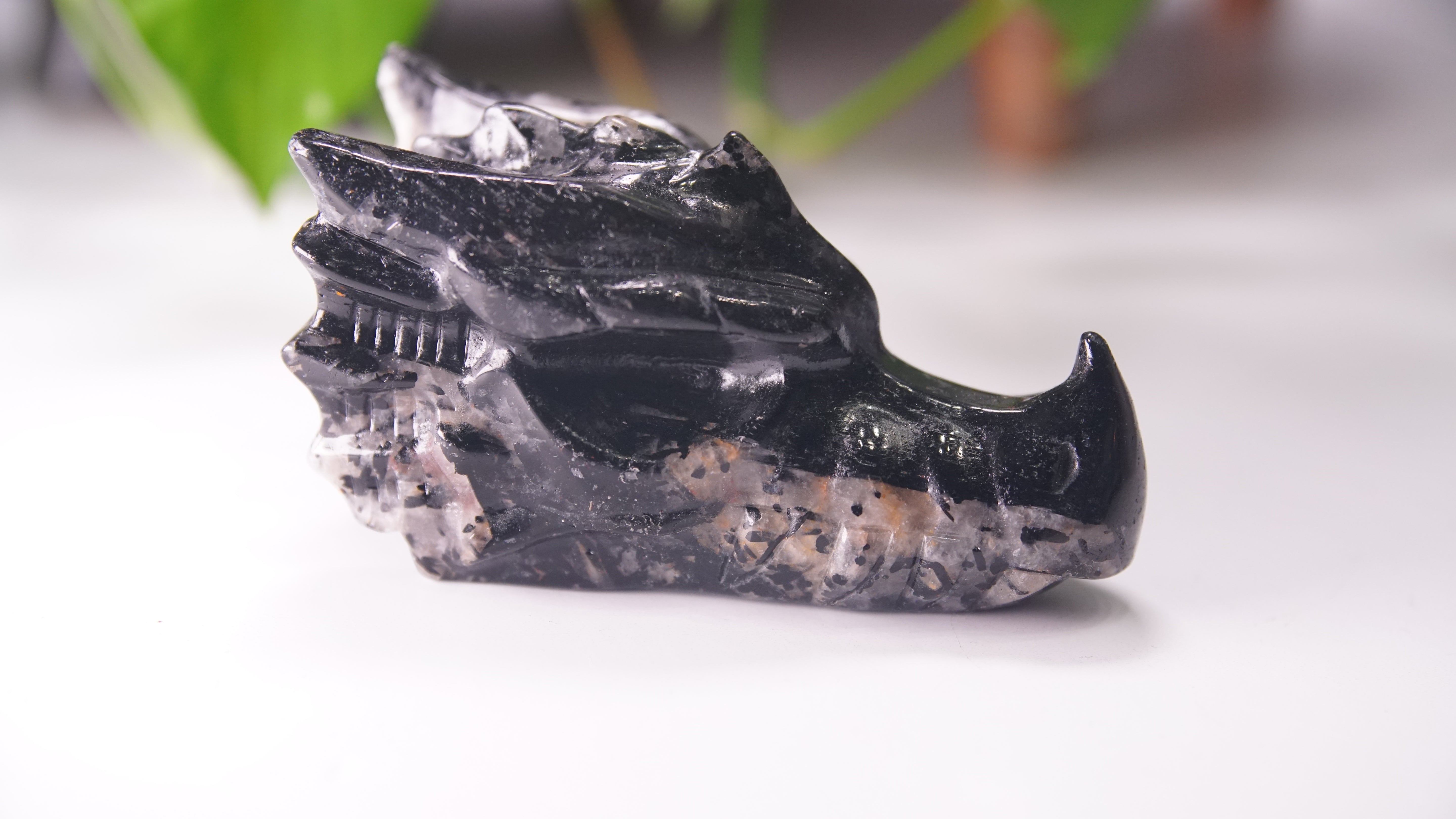Gorgeous Black Tourmaline In Quartz Dragon Skull