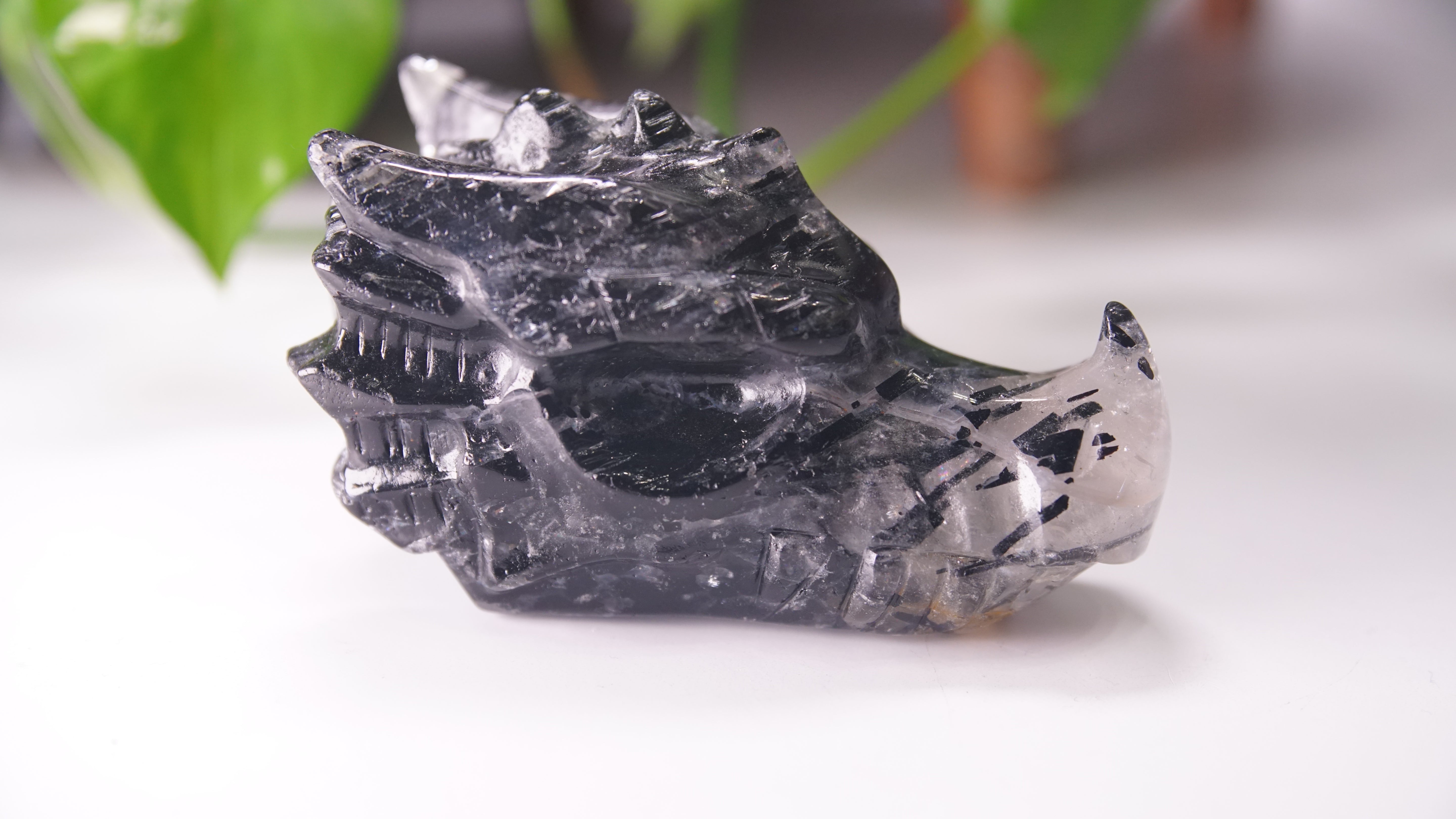 Gorgeous Black Tourmaline In Quartz Dragon Skull
