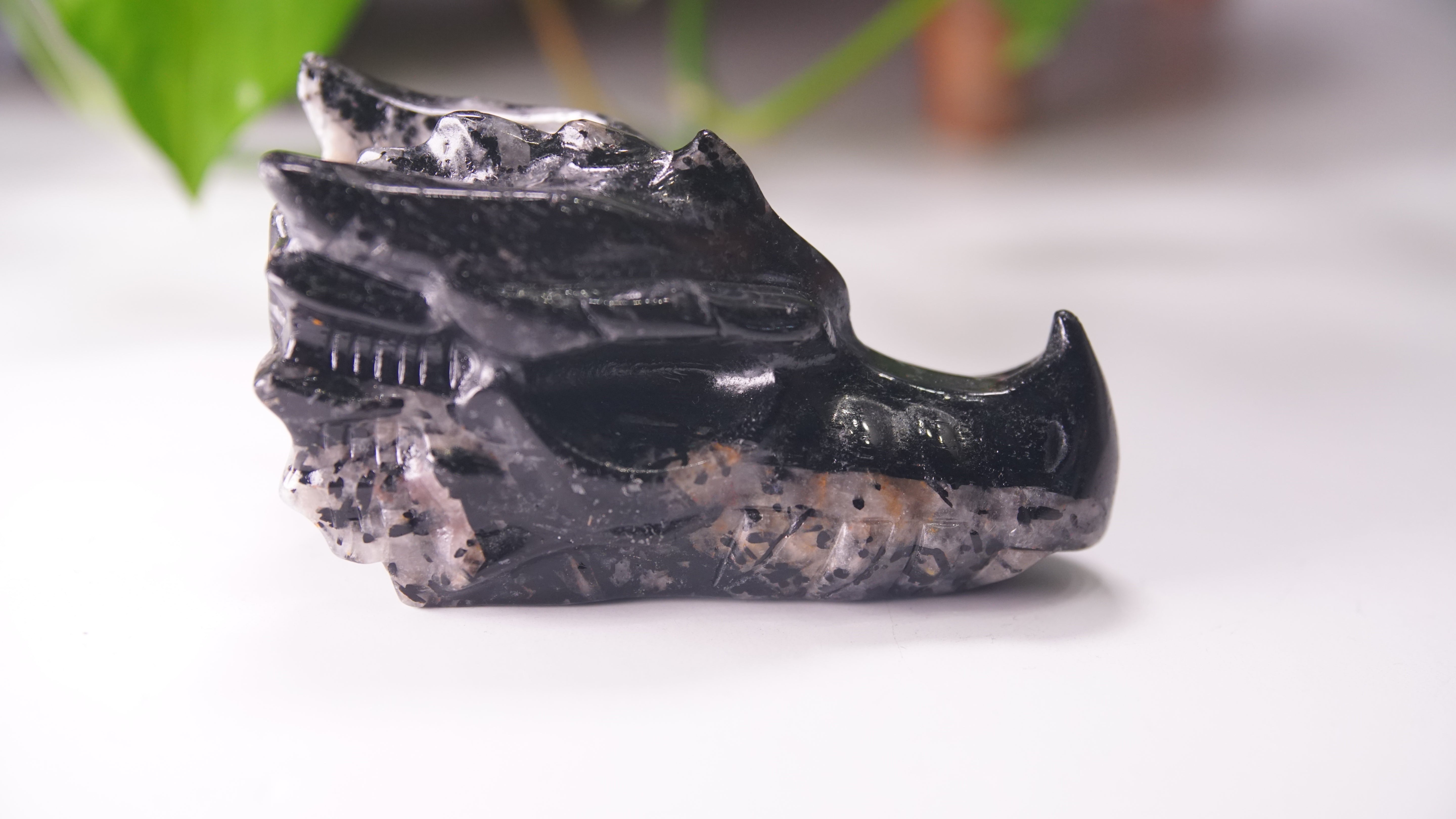 Gorgeous Black Tourmaline In Quartz Dragon Skull