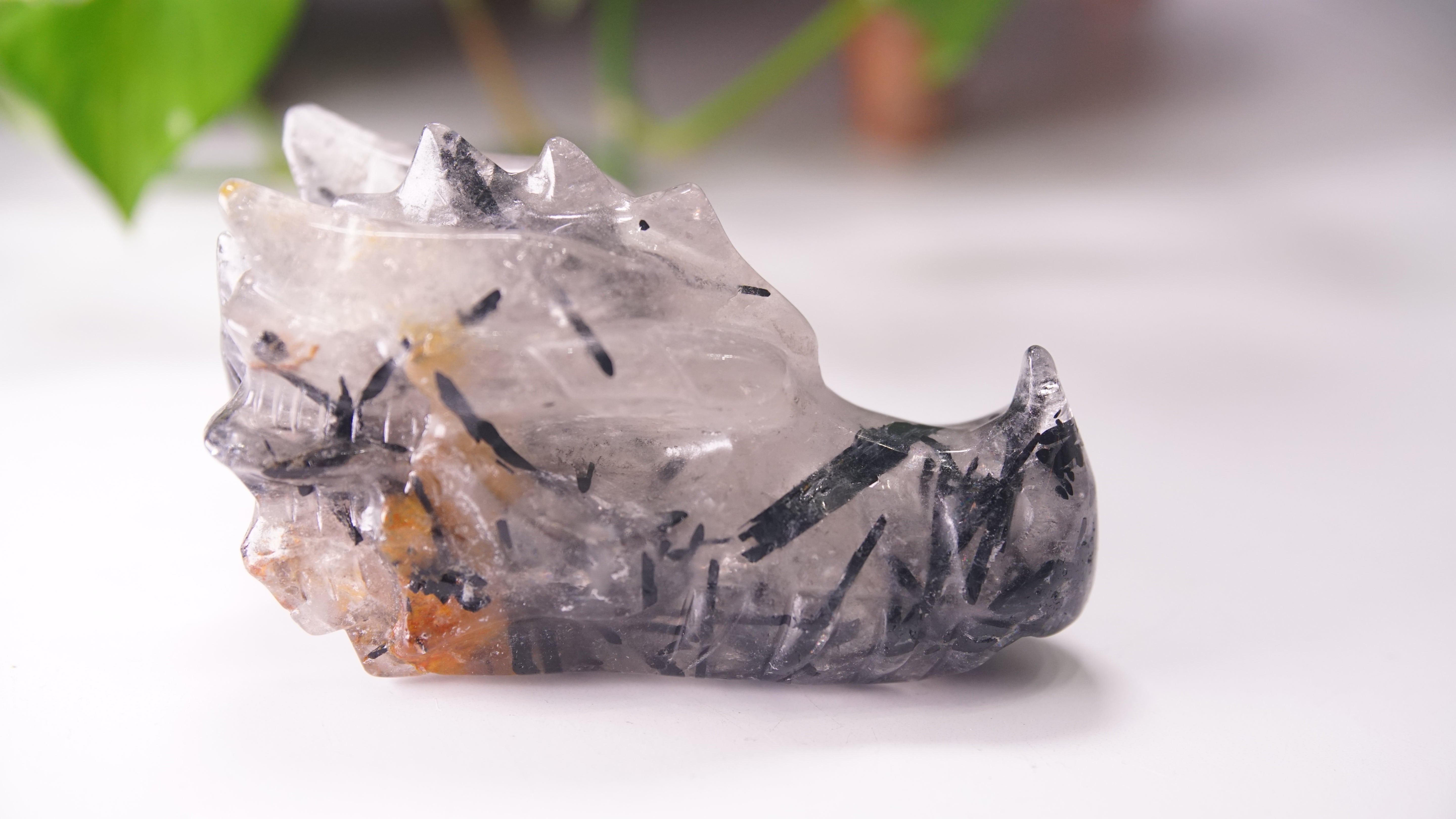 Gorgeous Black Tourmaline In Quartz Dragon Skull
