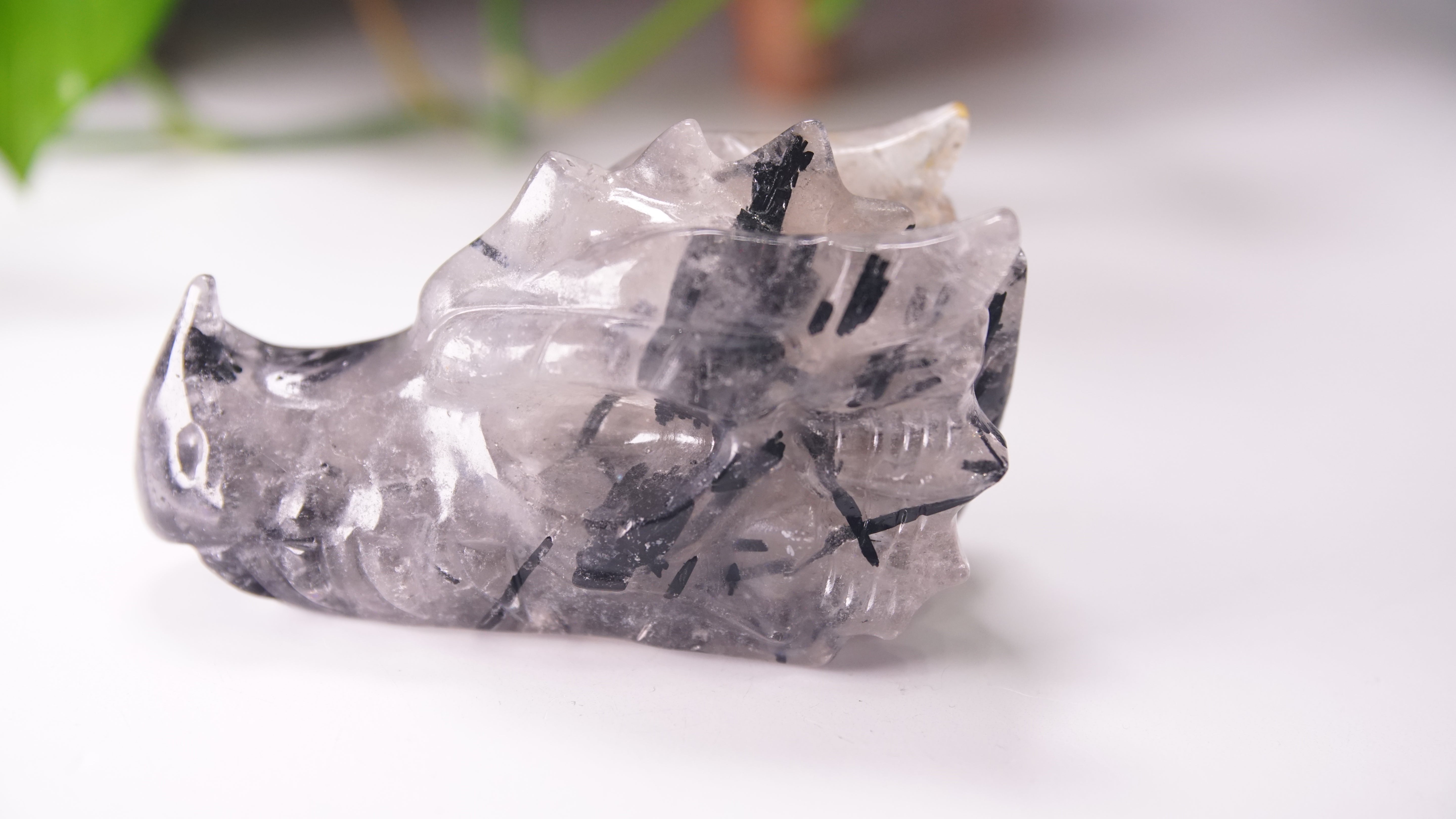 Gorgeous Black Tourmaline In Quartz Dragon Skull
