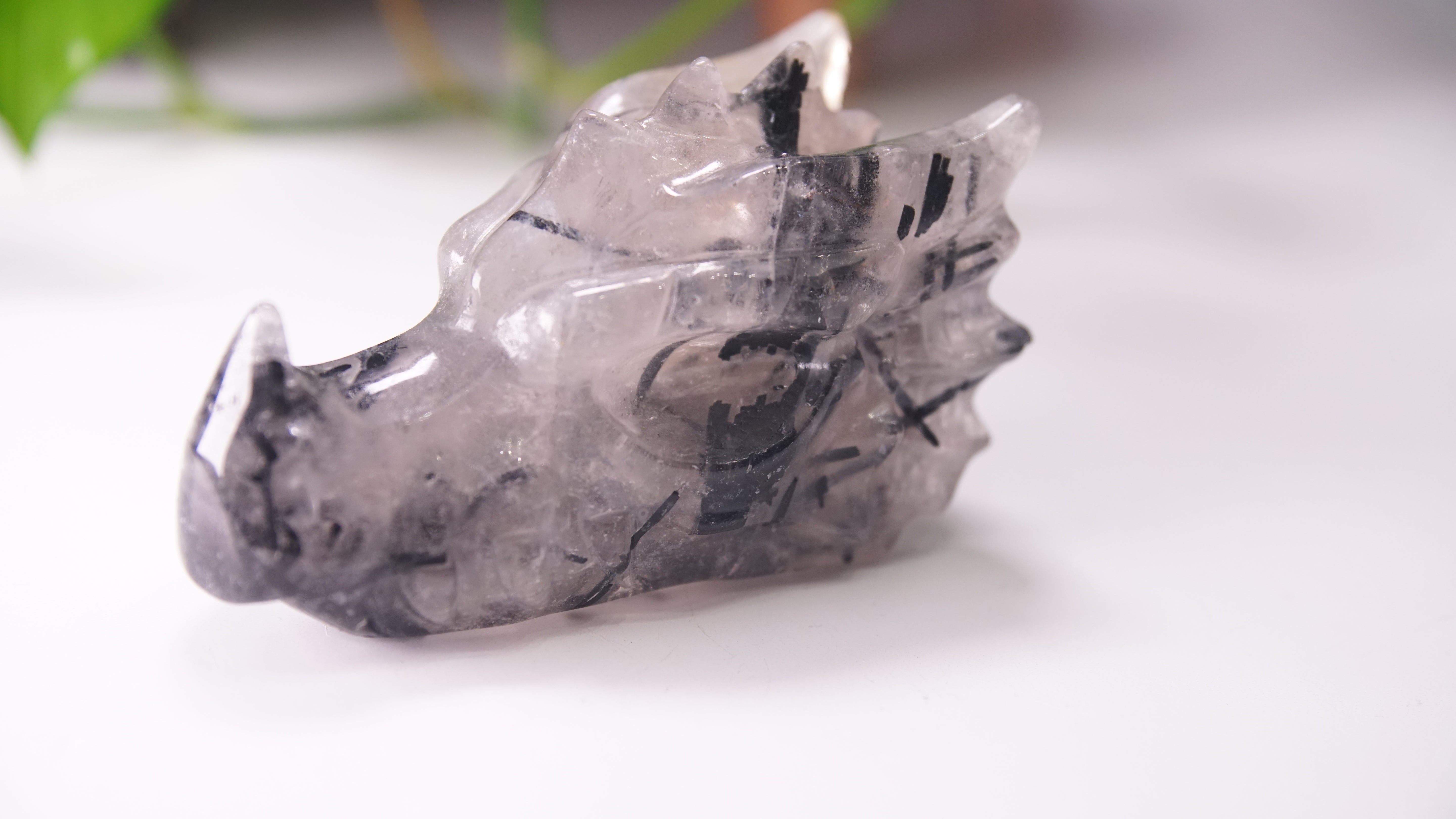 Gorgeous Black Tourmaline In Quartz Dragon Skull