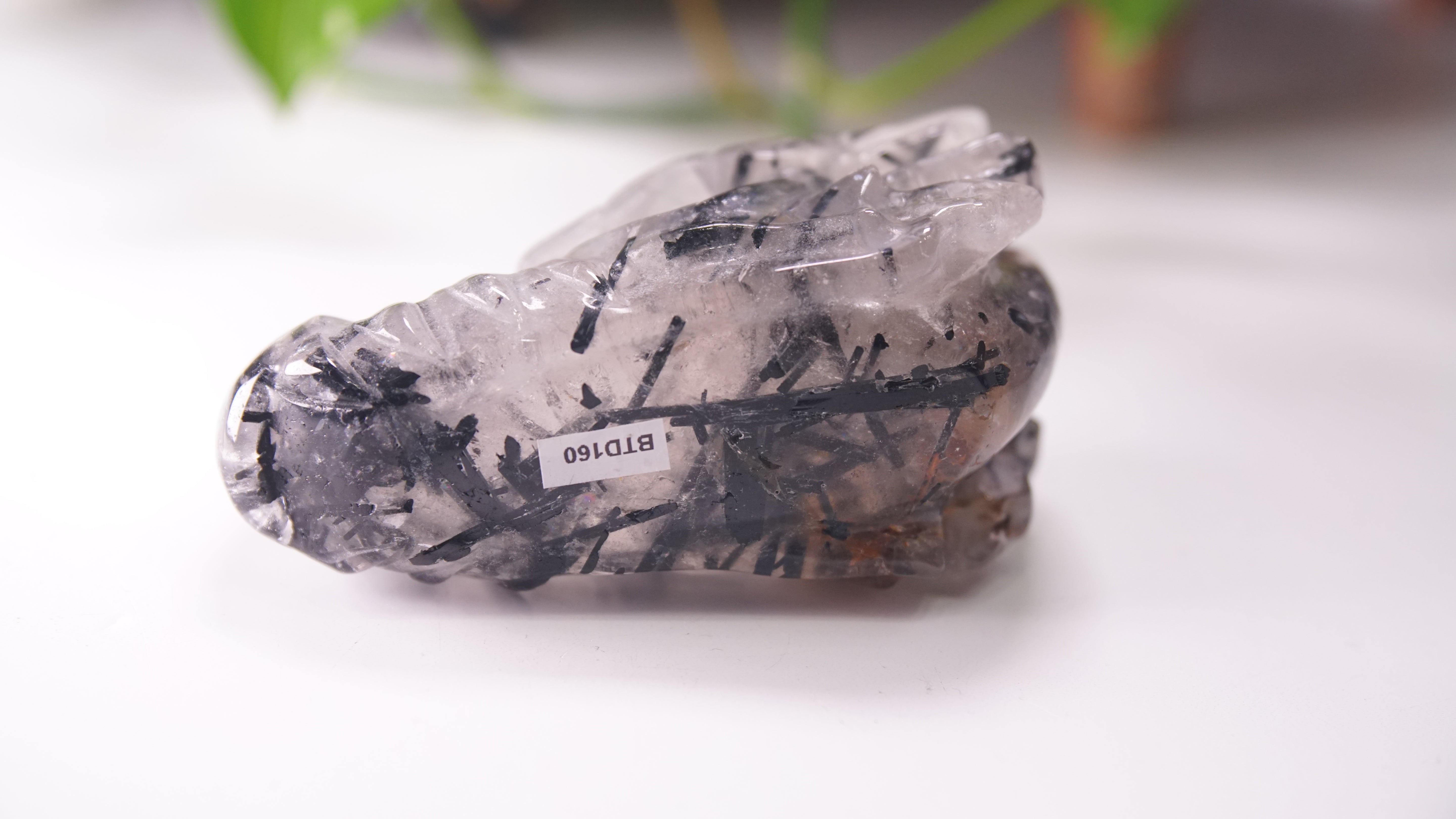 Gorgeous Black Tourmaline In Quartz Dragon Skull