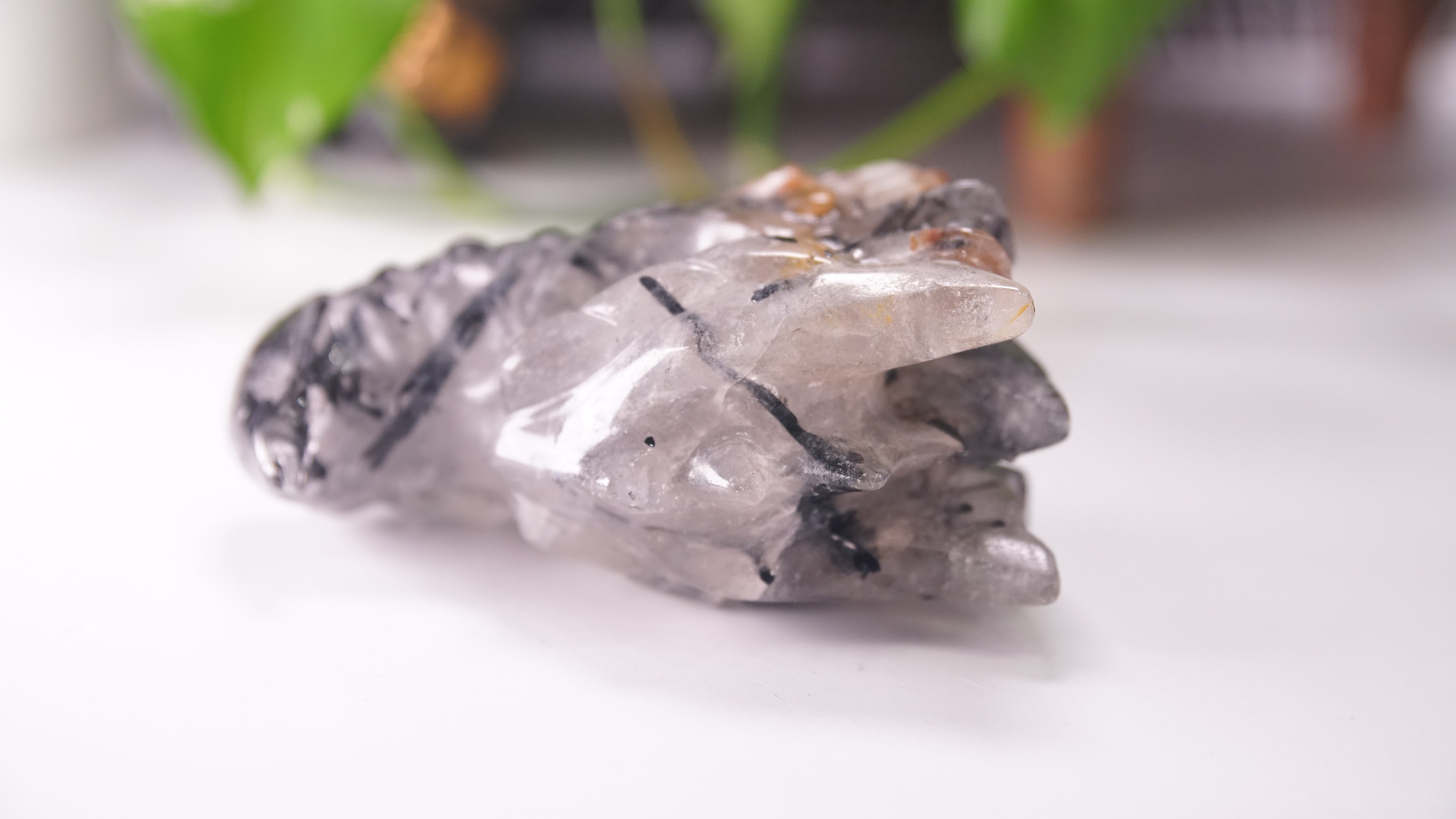 Gorgeous Black Tourmaline In Quartz Dragon Skull