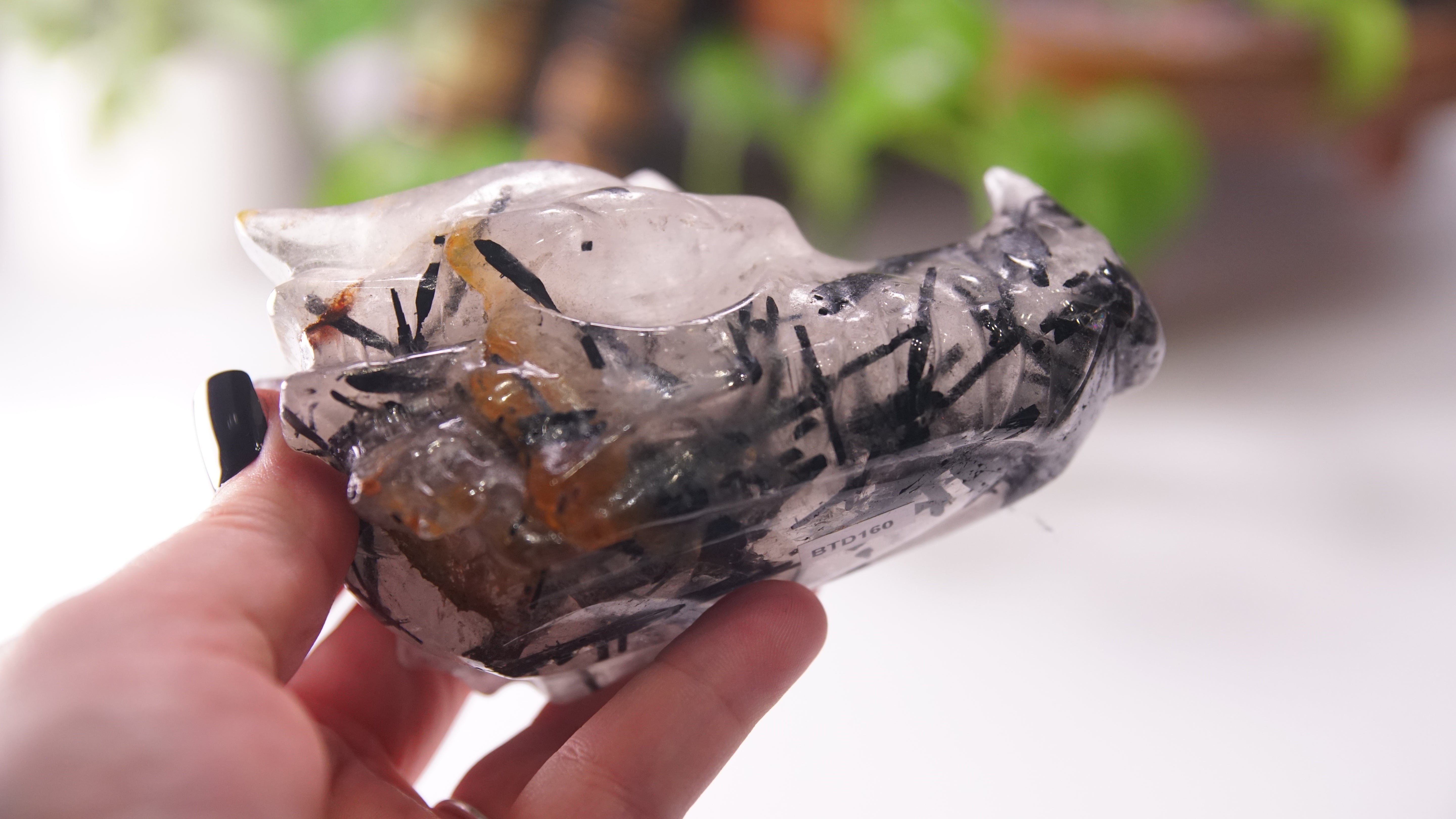 Gorgeous Black Tourmaline In Quartz Dragon Skull