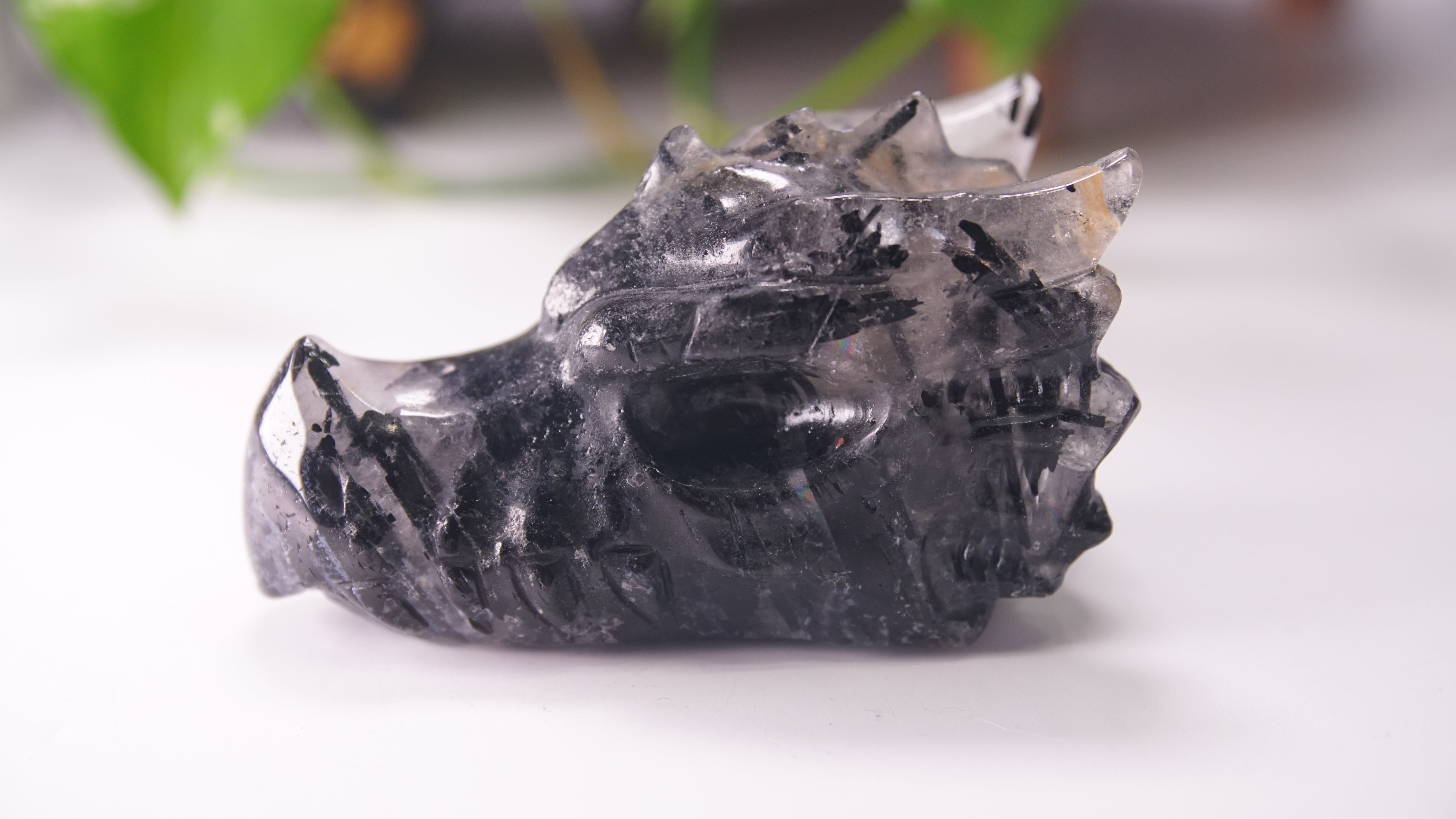 Gorgeous Black Tourmaline In Quartz Dragon Skull