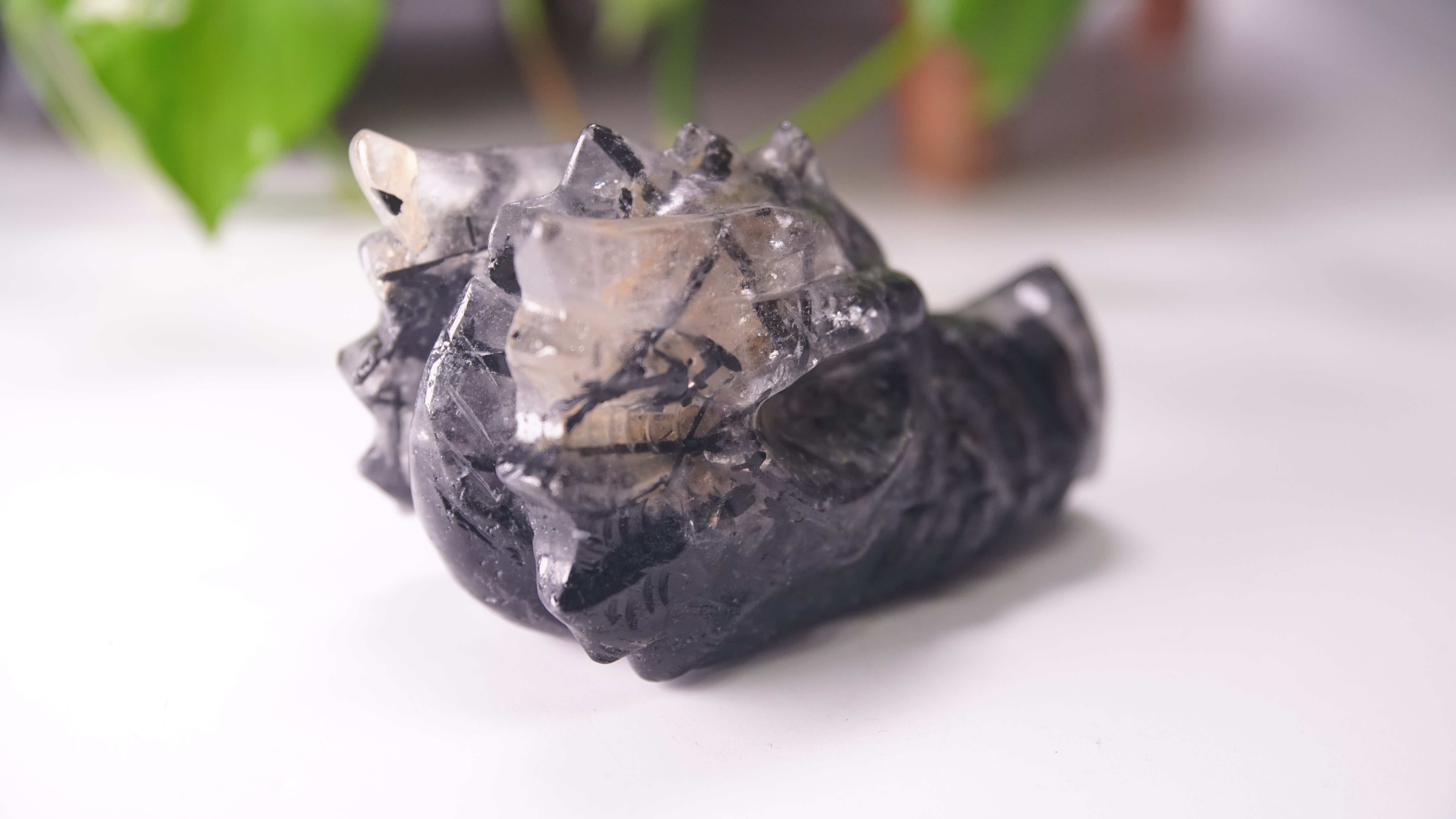 Gorgeous Black Tourmaline In Quartz Dragon Skull
