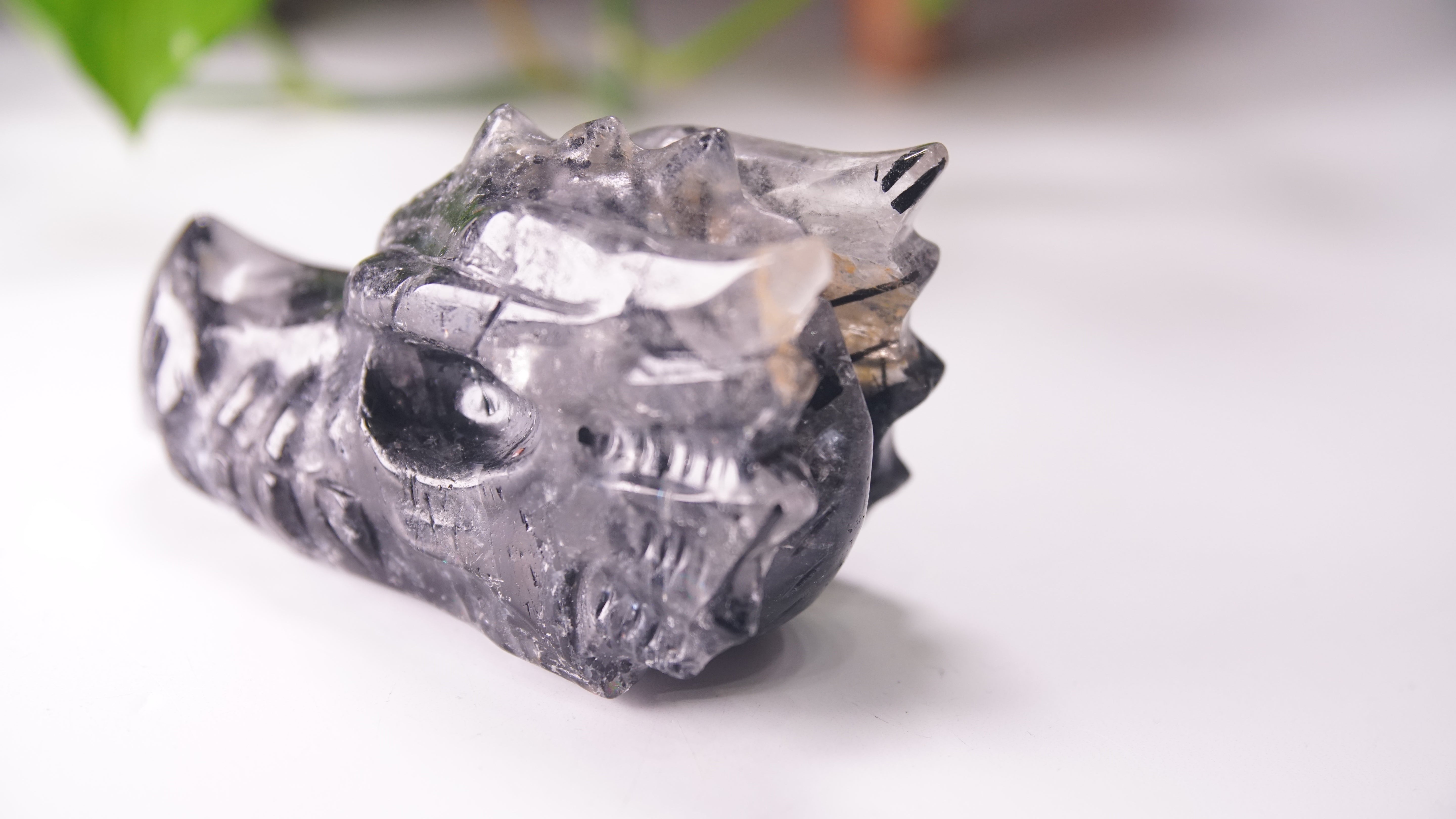 Gorgeous Black Tourmaline In Quartz Dragon Skull