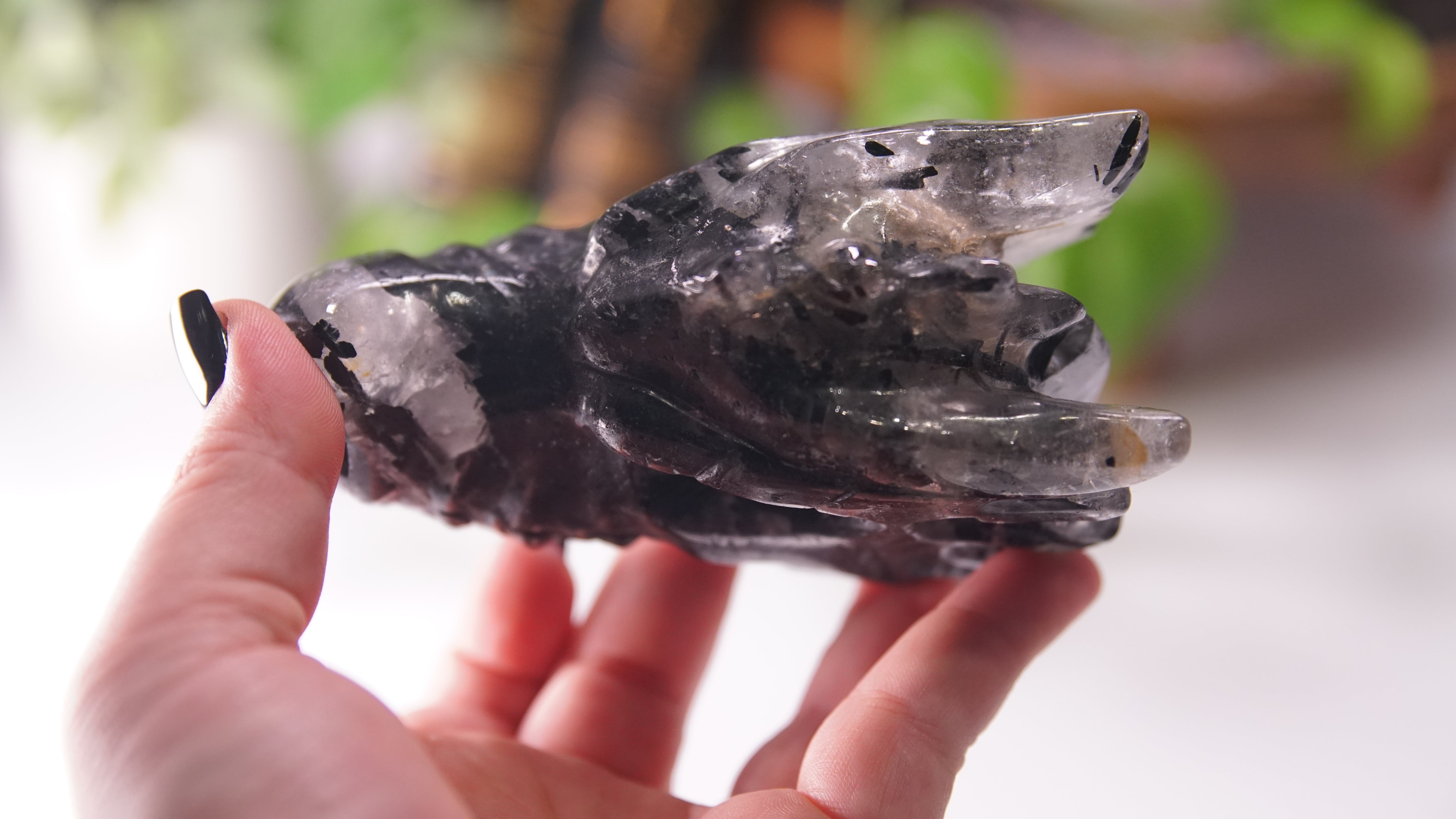 Gorgeous Black Tourmaline In Quartz Dragon Skull