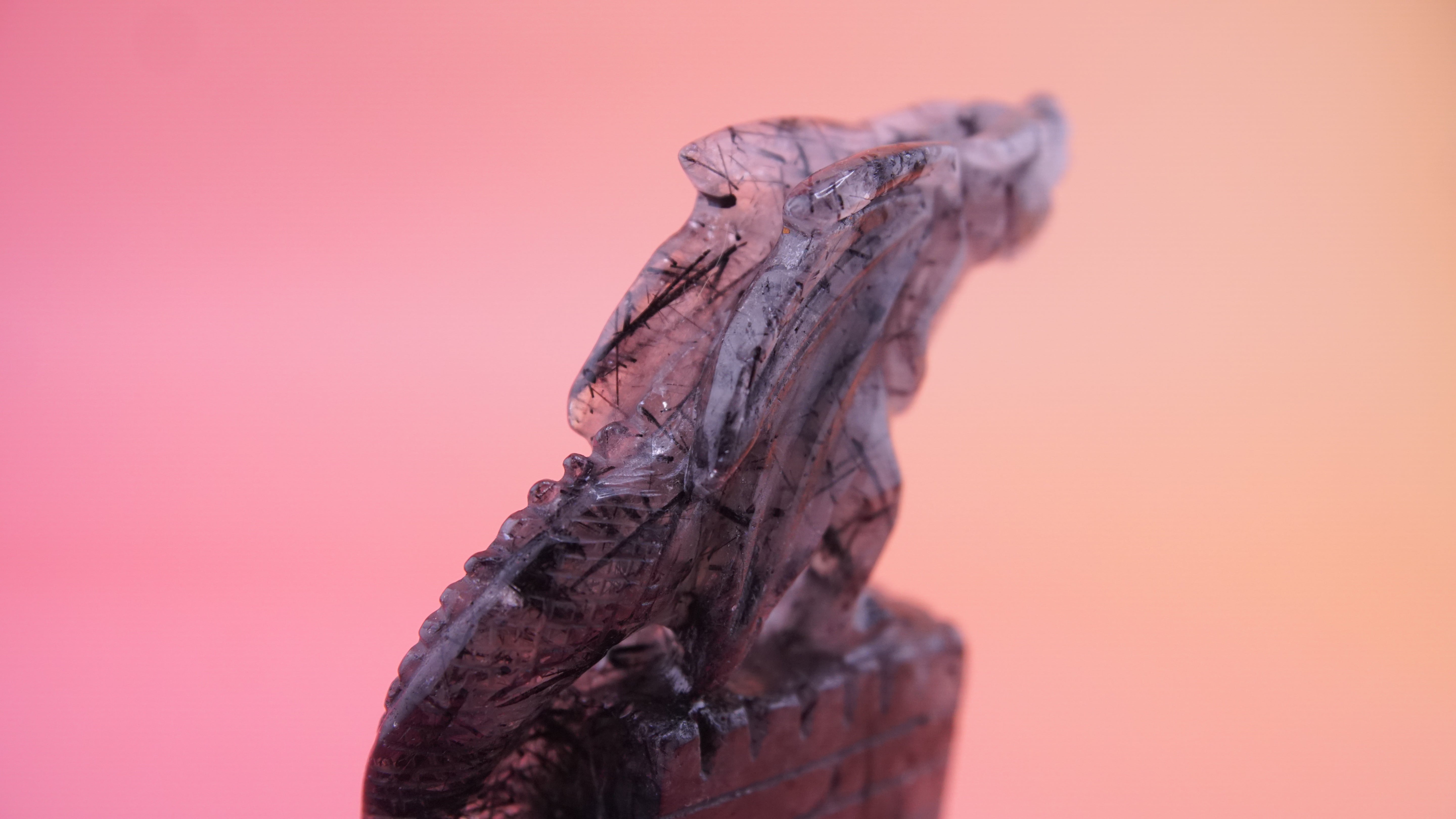 Gorgeous Black Tourmaline In Quartz Dragon With Castle