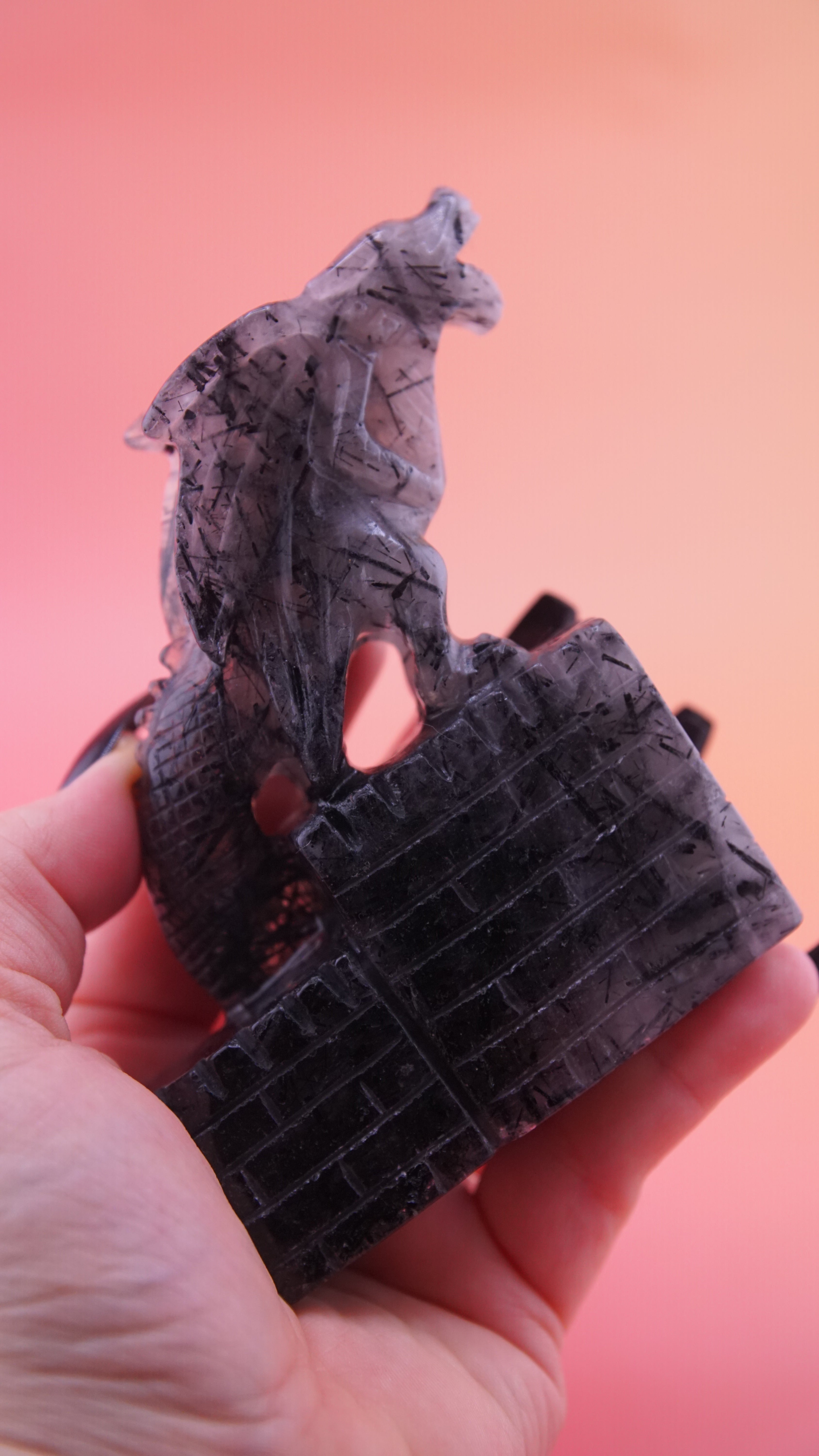 Gorgeous Black Tourmaline In Quartz Dragon With Castle