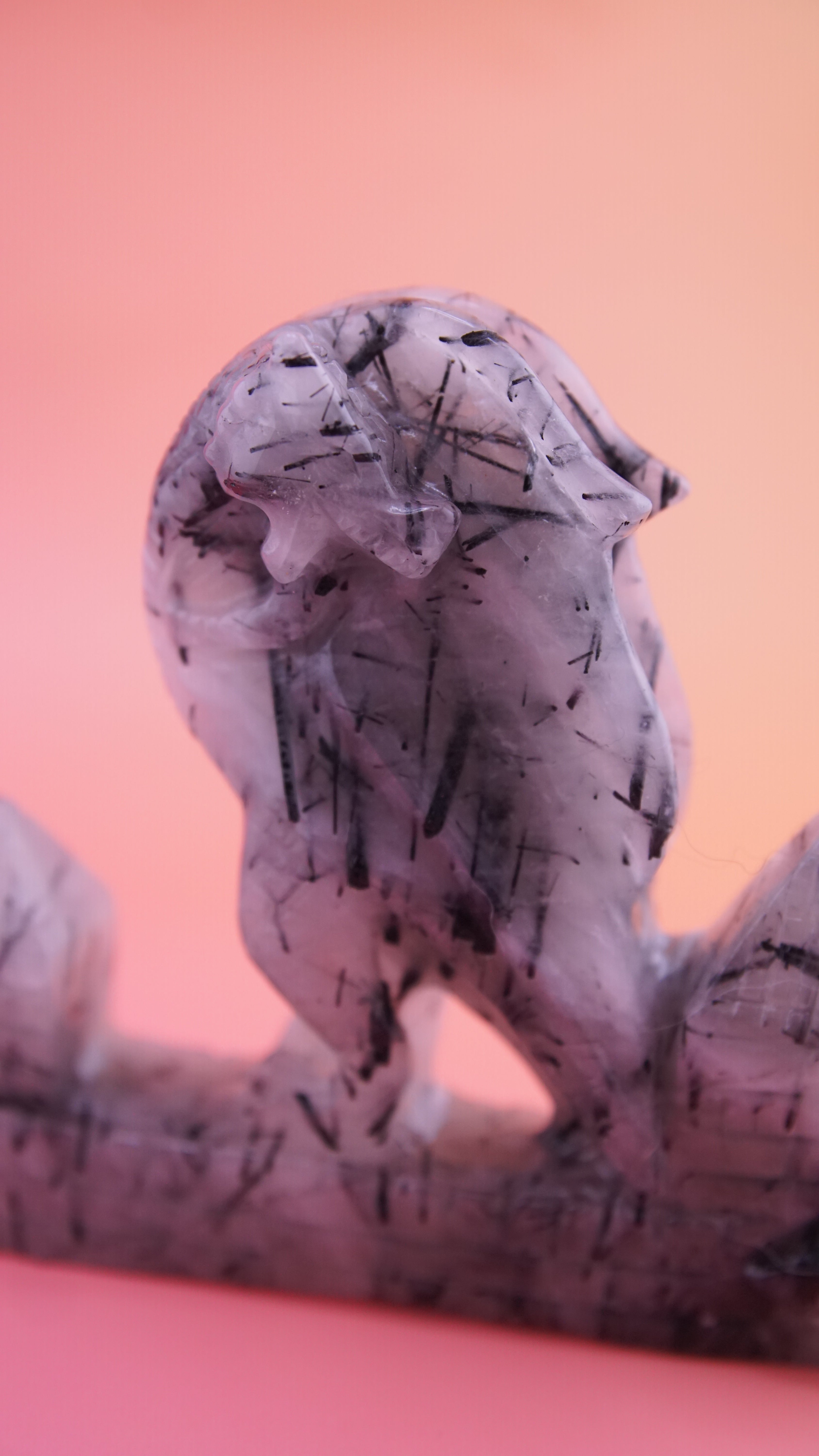 Gorgeous Black Tourmaline In Quartz Dragon With Castle