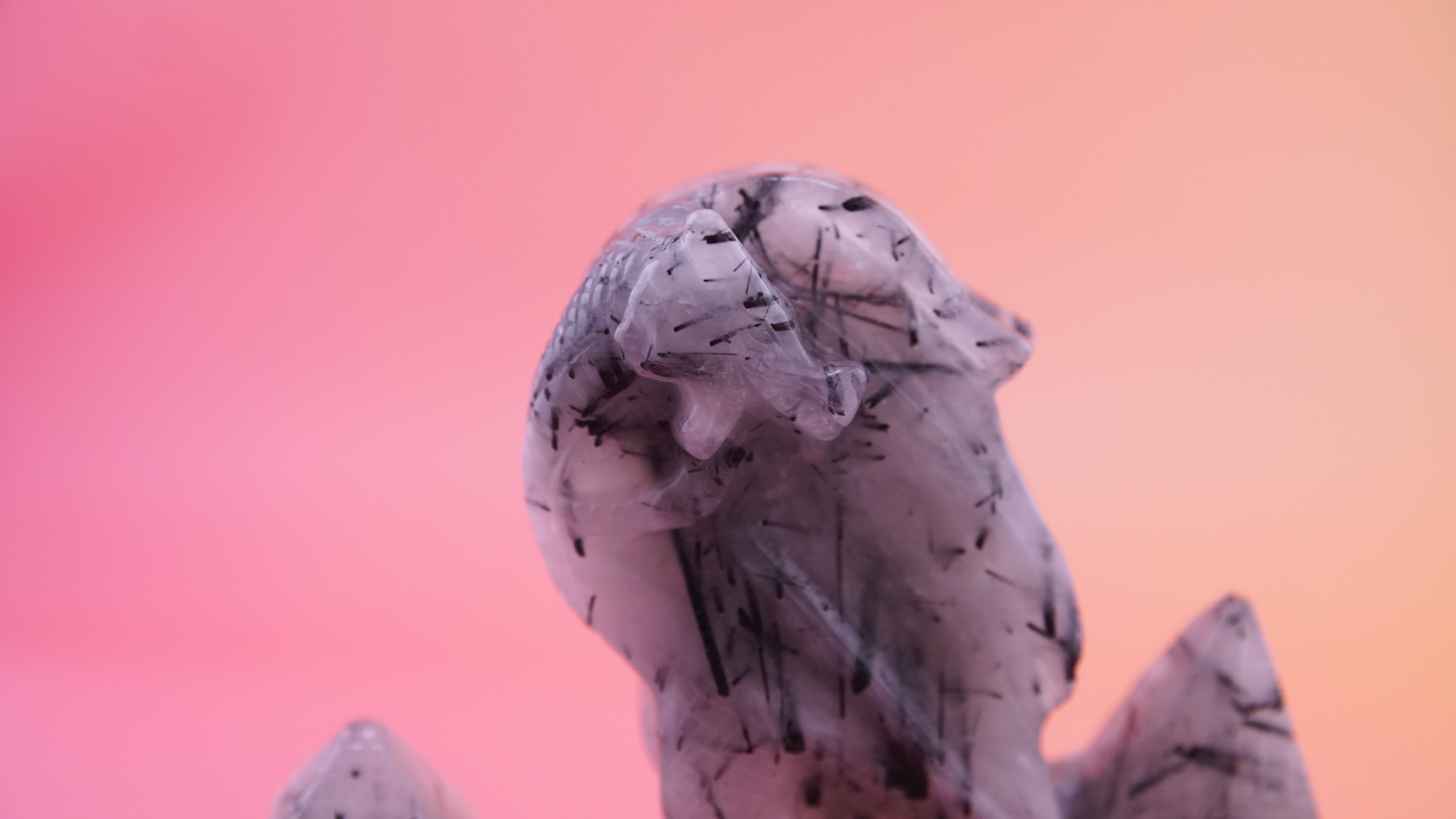 Gorgeous Black Tourmaline In Quartz Dragon With Castle