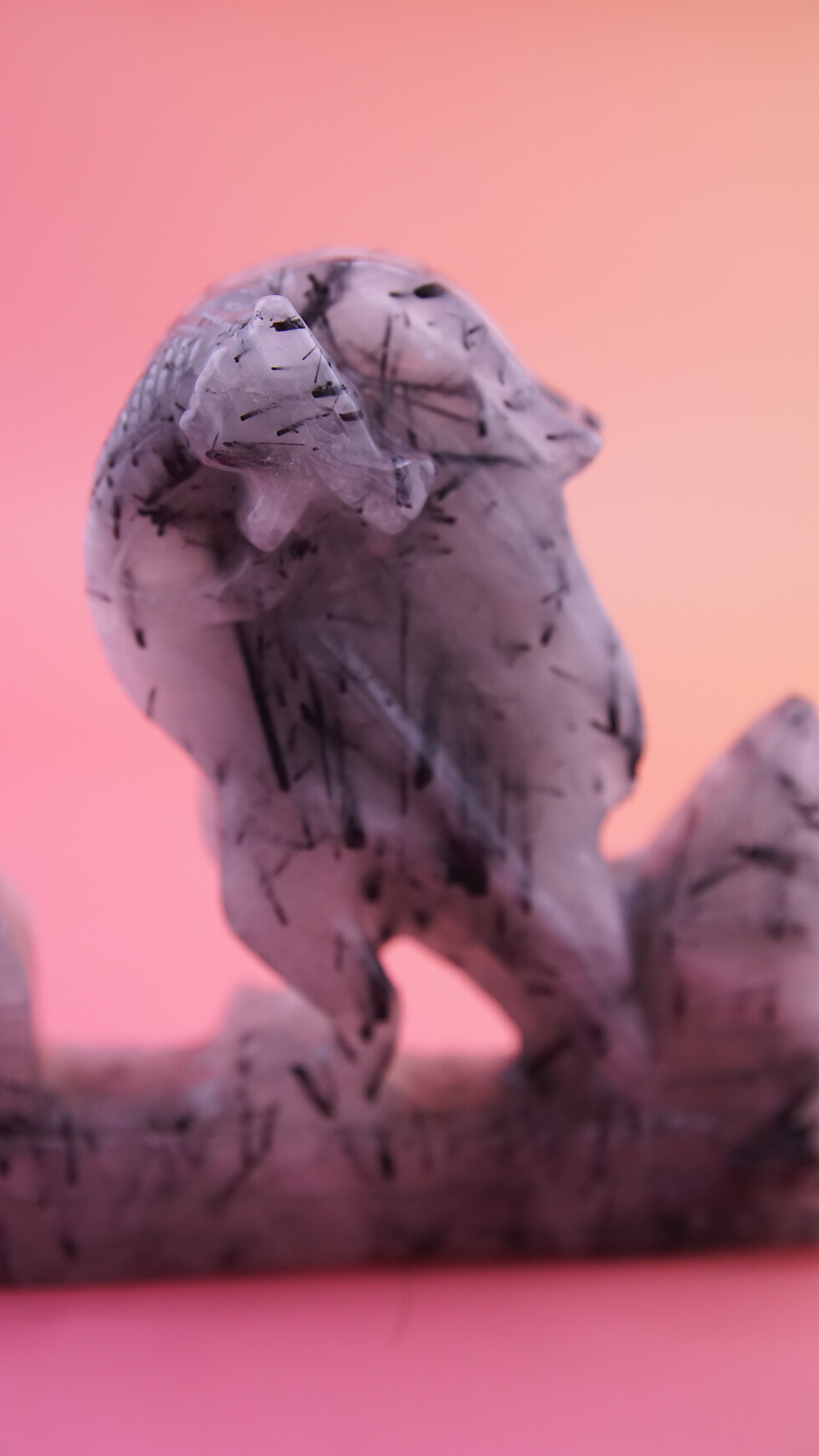 Gorgeous Black Tourmaline In Quartz Dragon With Castle