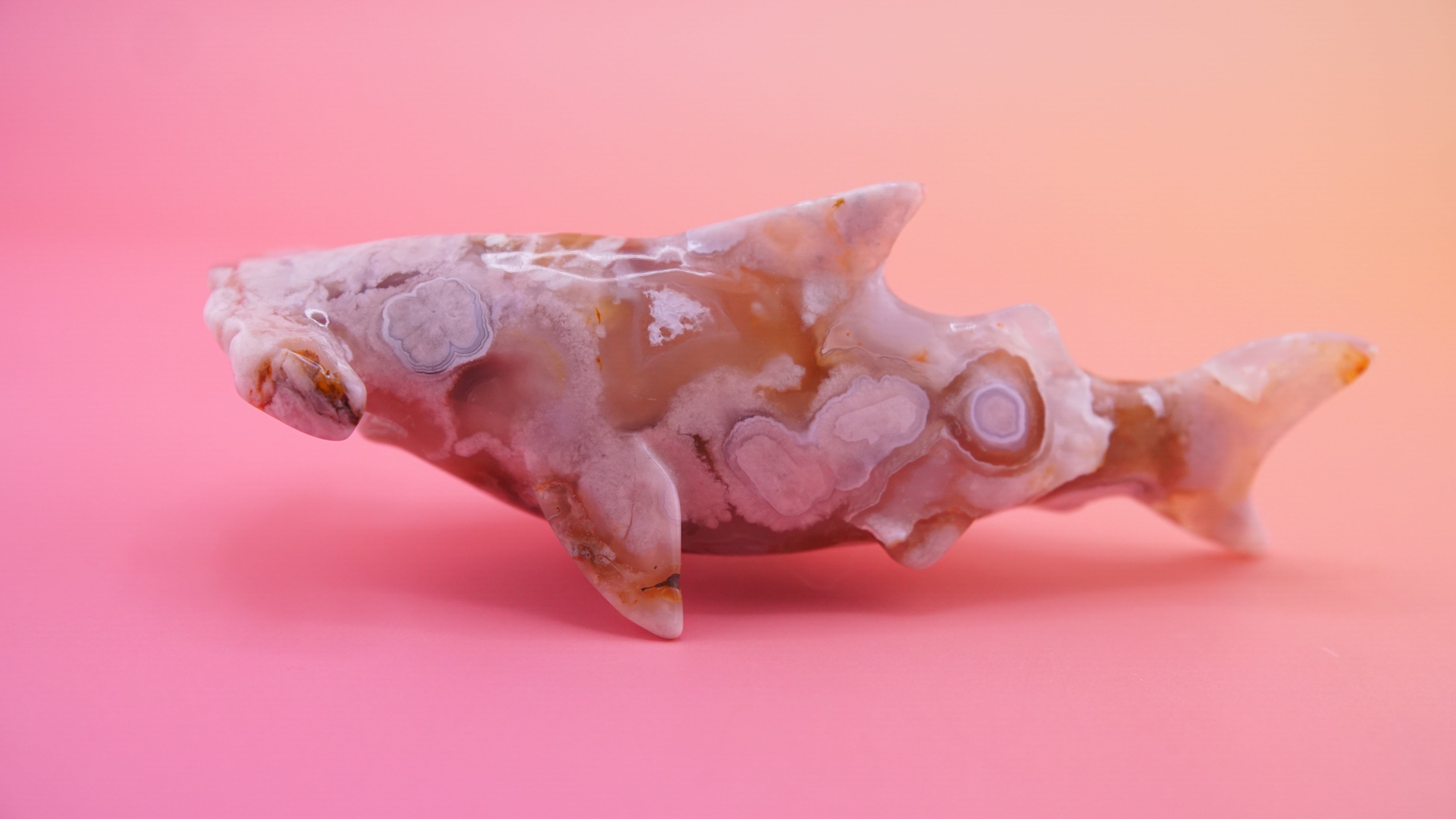 Flower Agate Hammerhead Shark Boutique Carving