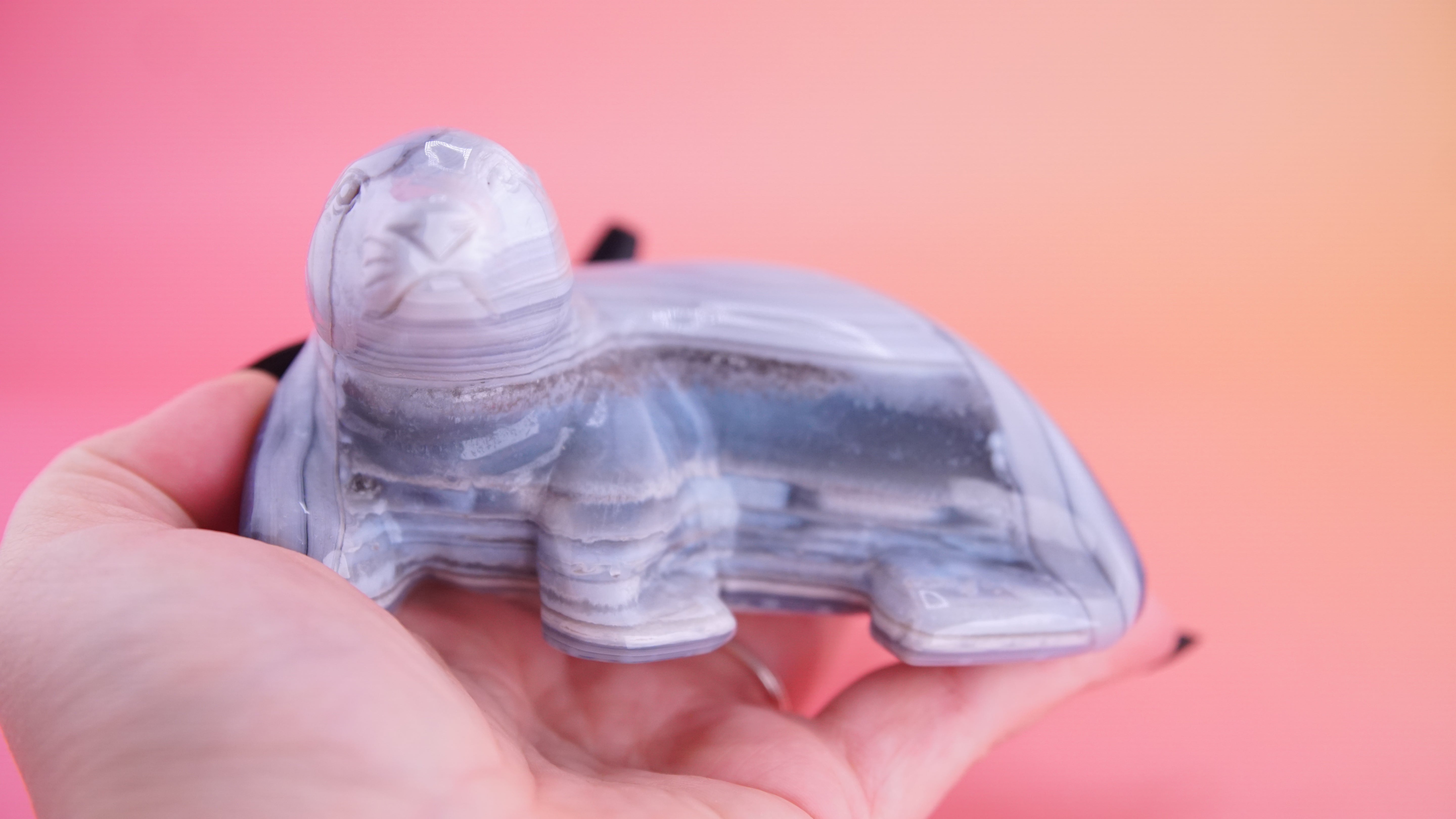 Hand Carved Banded Seal | Boutique Quality Carving | Crystal Decor
