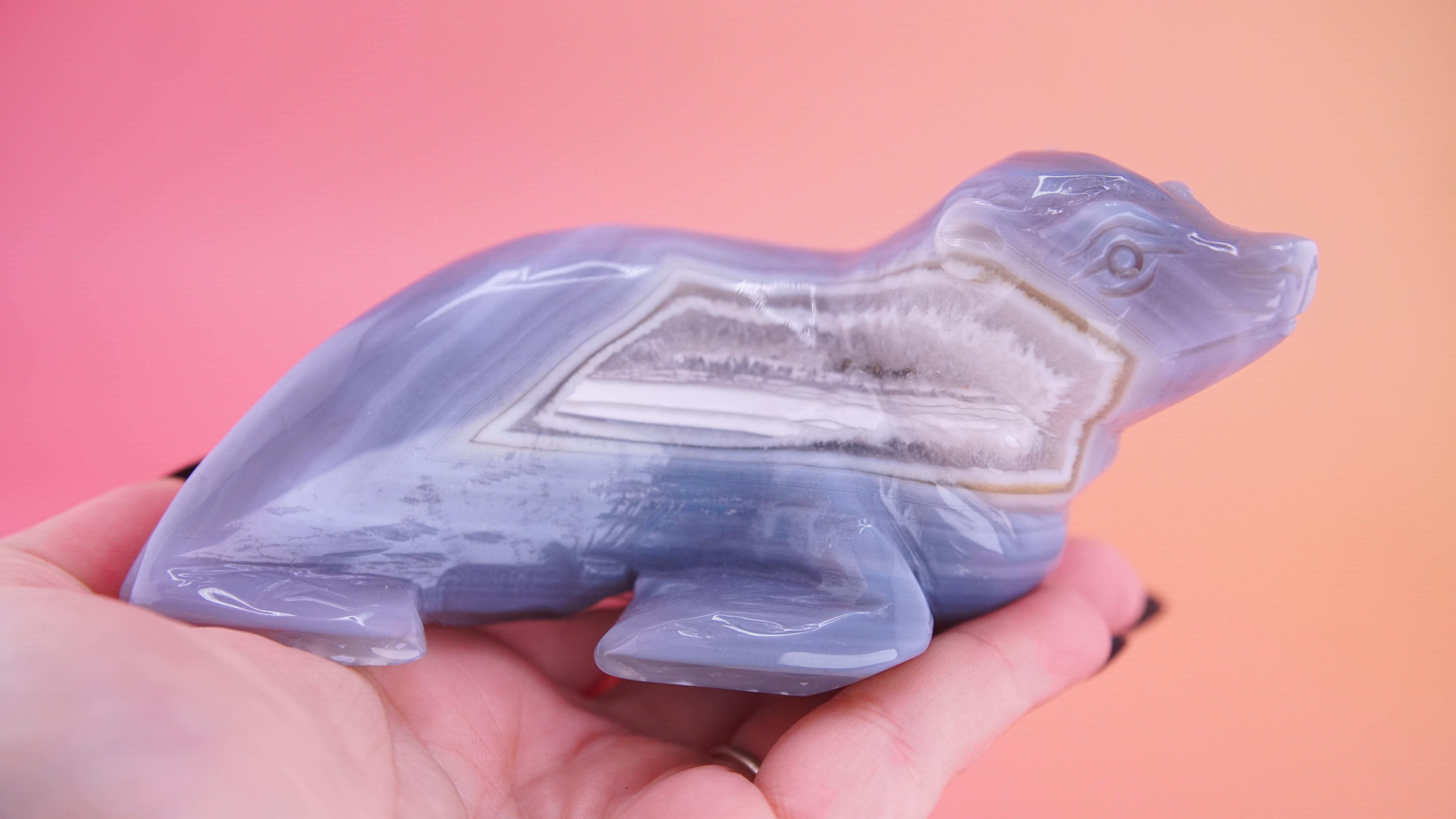 Hand Carved Banded Seal | Boutique Quality Carving | Crystal Decor