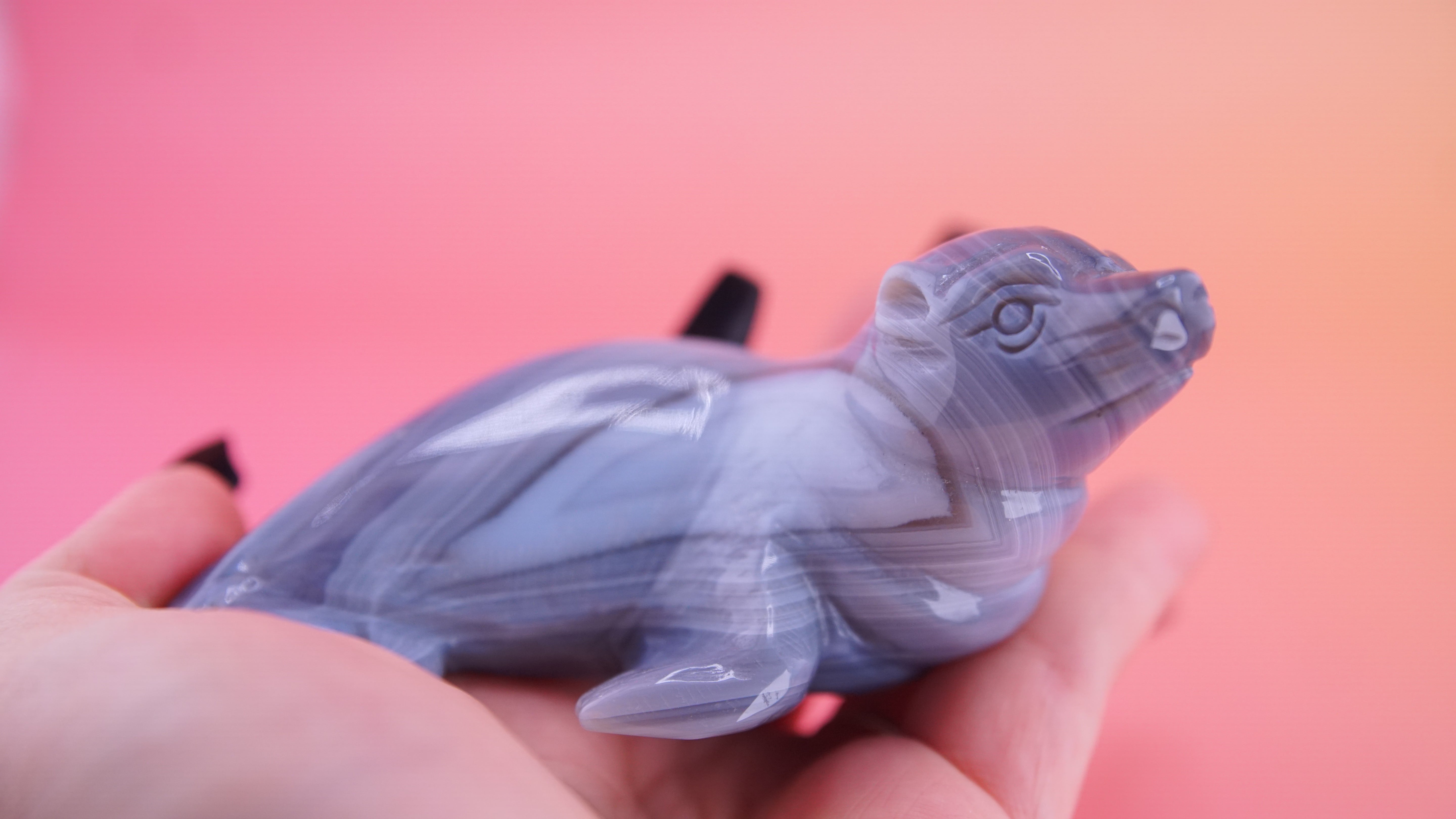 Hand Carved Banded Seal | Boutique Quality Carving | Crystal Decor