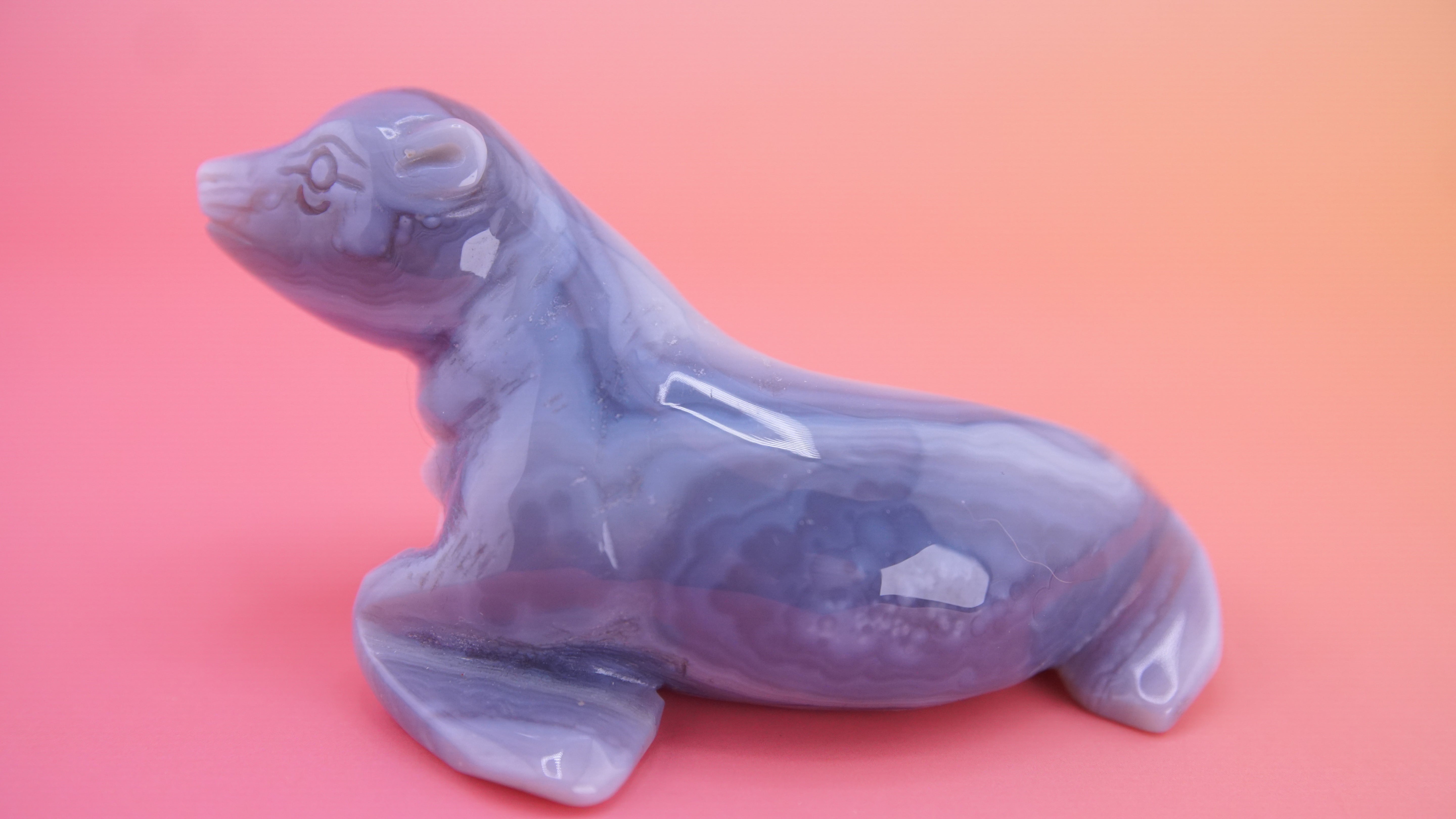 Hand Carved Banded Seal | Boutique Quality Carving | Crystal Decor