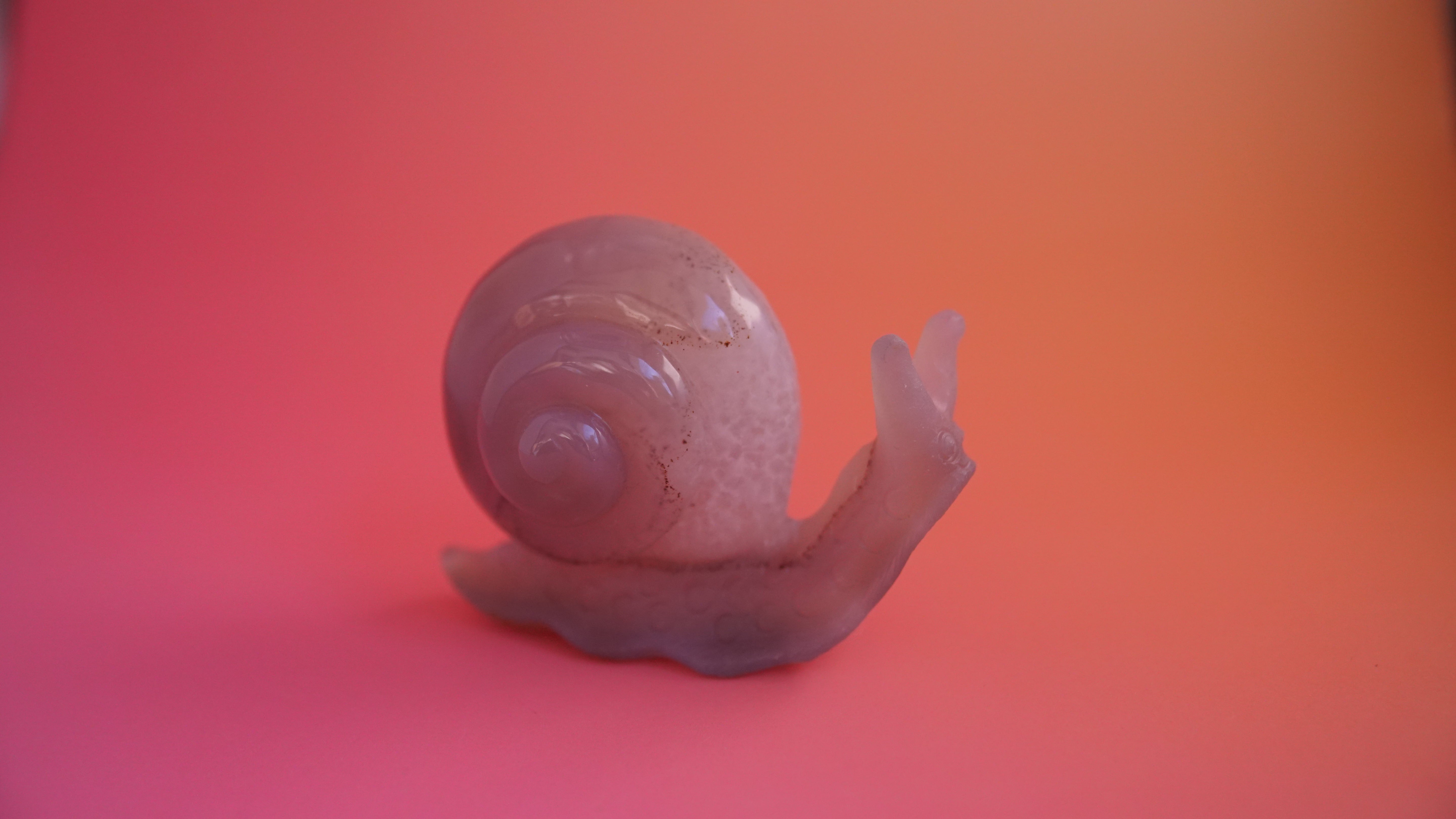 Gorgeous Agate Boutique Snail Carving | Crystal Carving Statement Piece