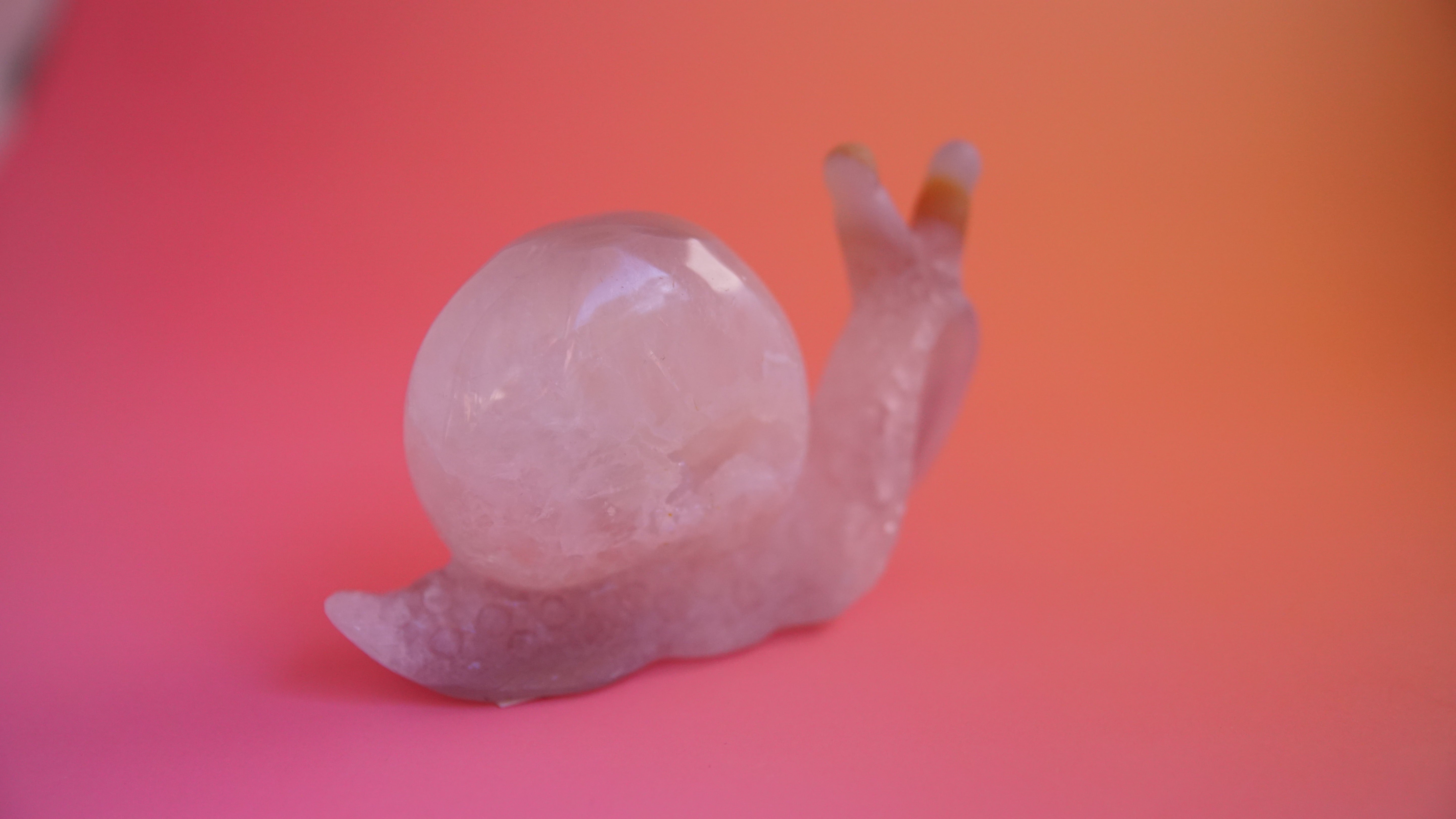 Gorgeous Agate Boutique Snail Carving | Crystal Carving Statement Piece