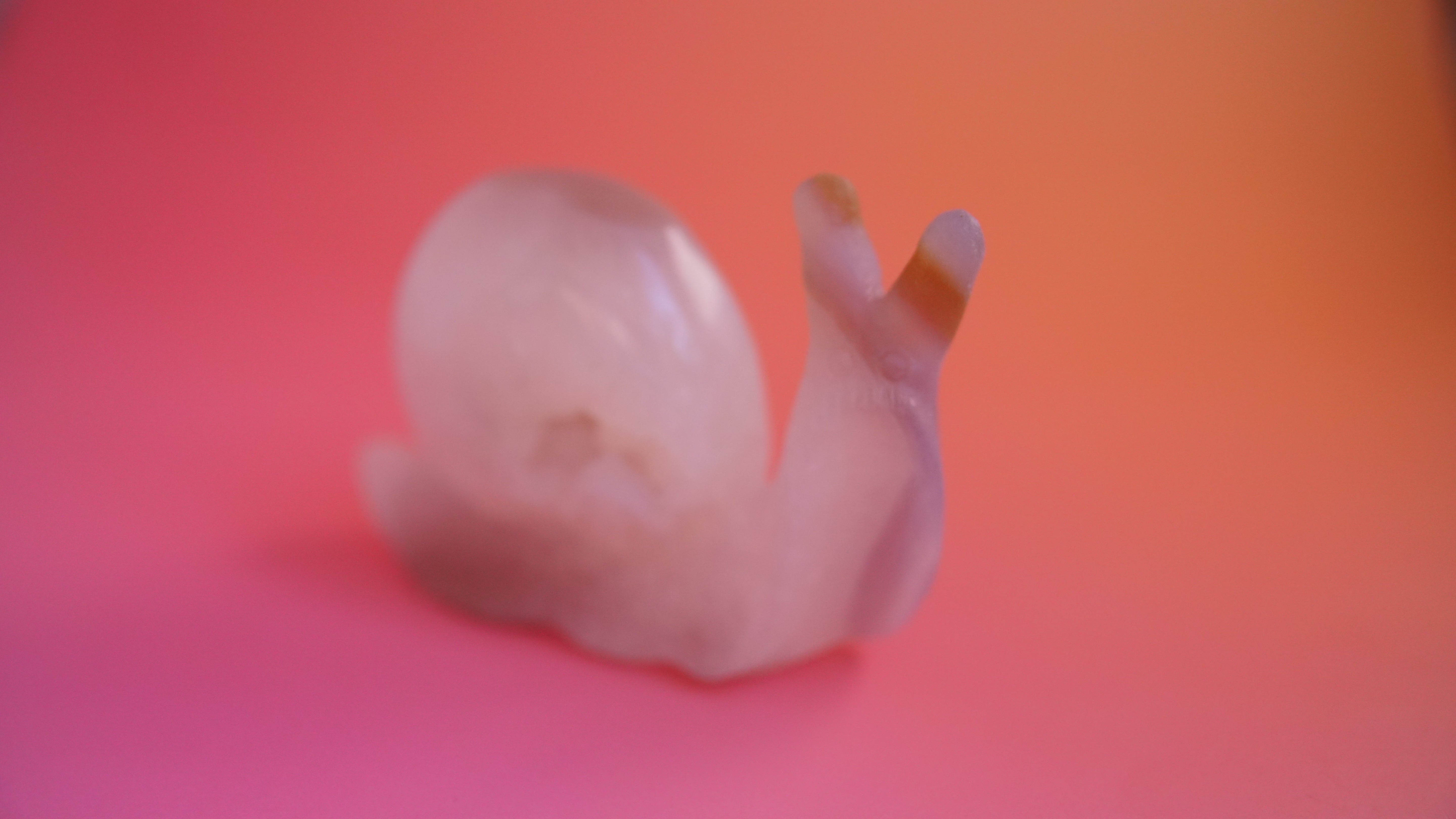 Gorgeous Agate Boutique Snail Carving | Crystal Carving Statement Piece