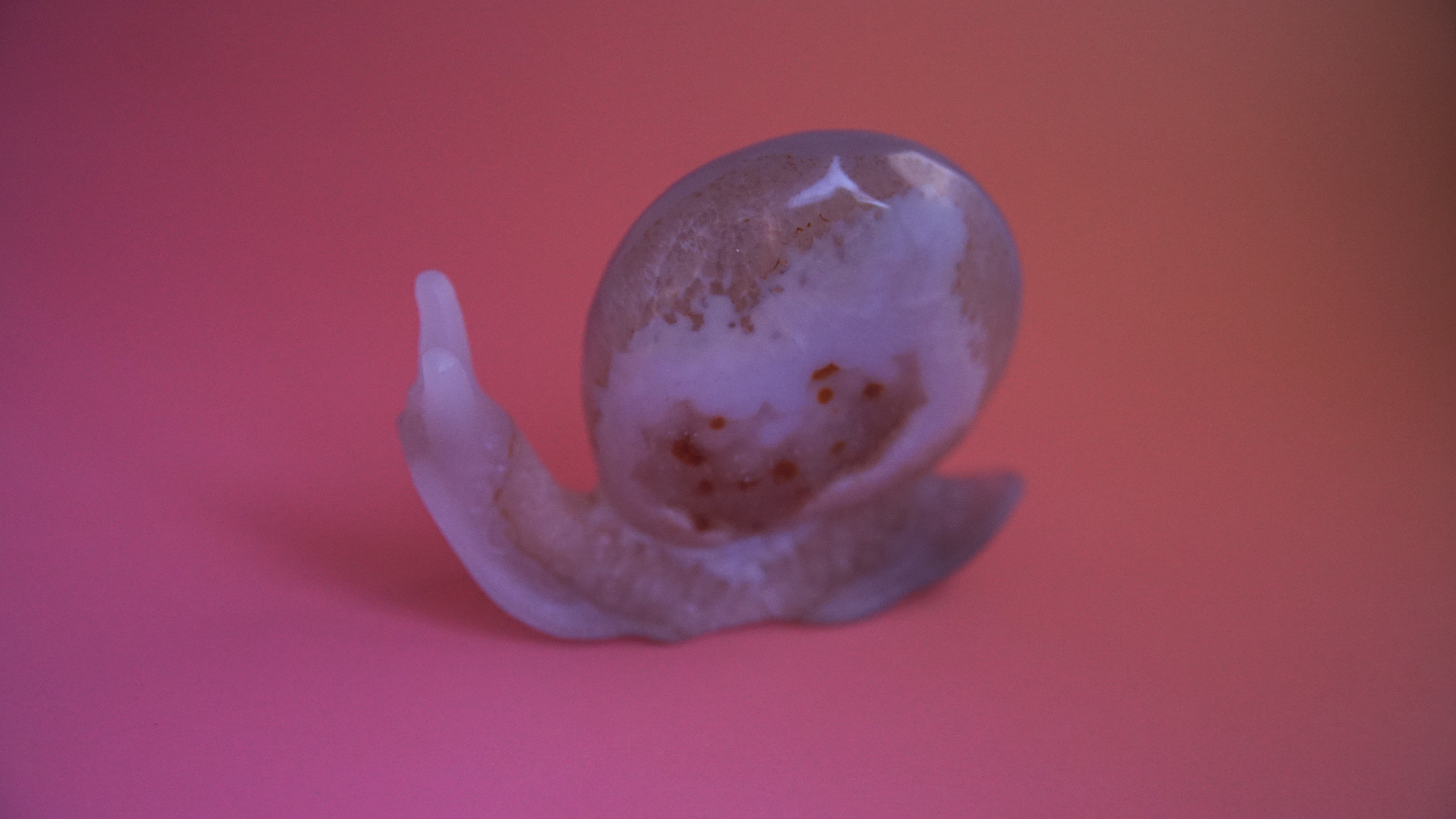Gorgeous Agate Boutique Snail Carving | Crystal Carving Statement Piece