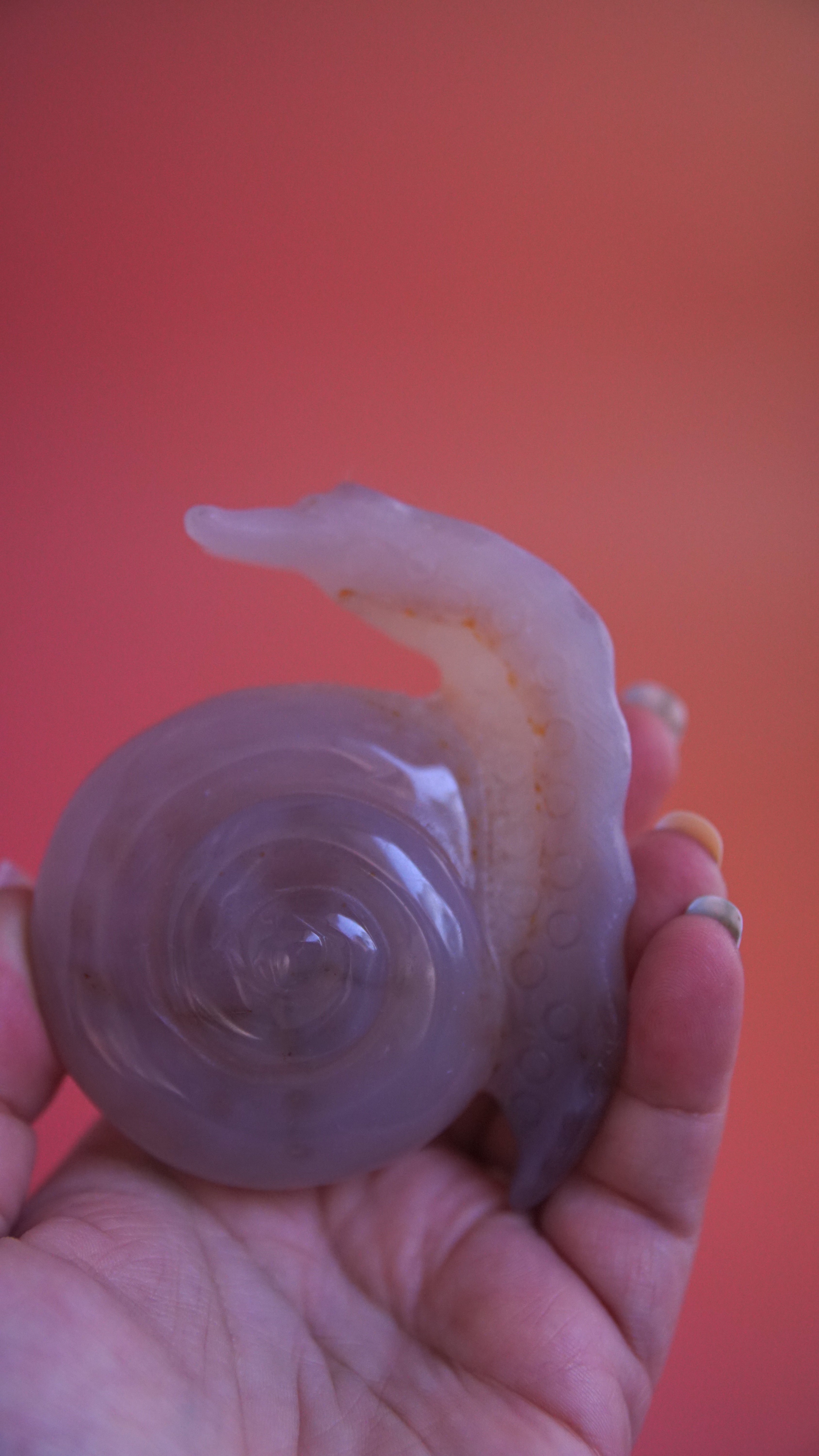 Gorgeous Agate Boutique Snail Carving | Crystal Carving Statement Piece