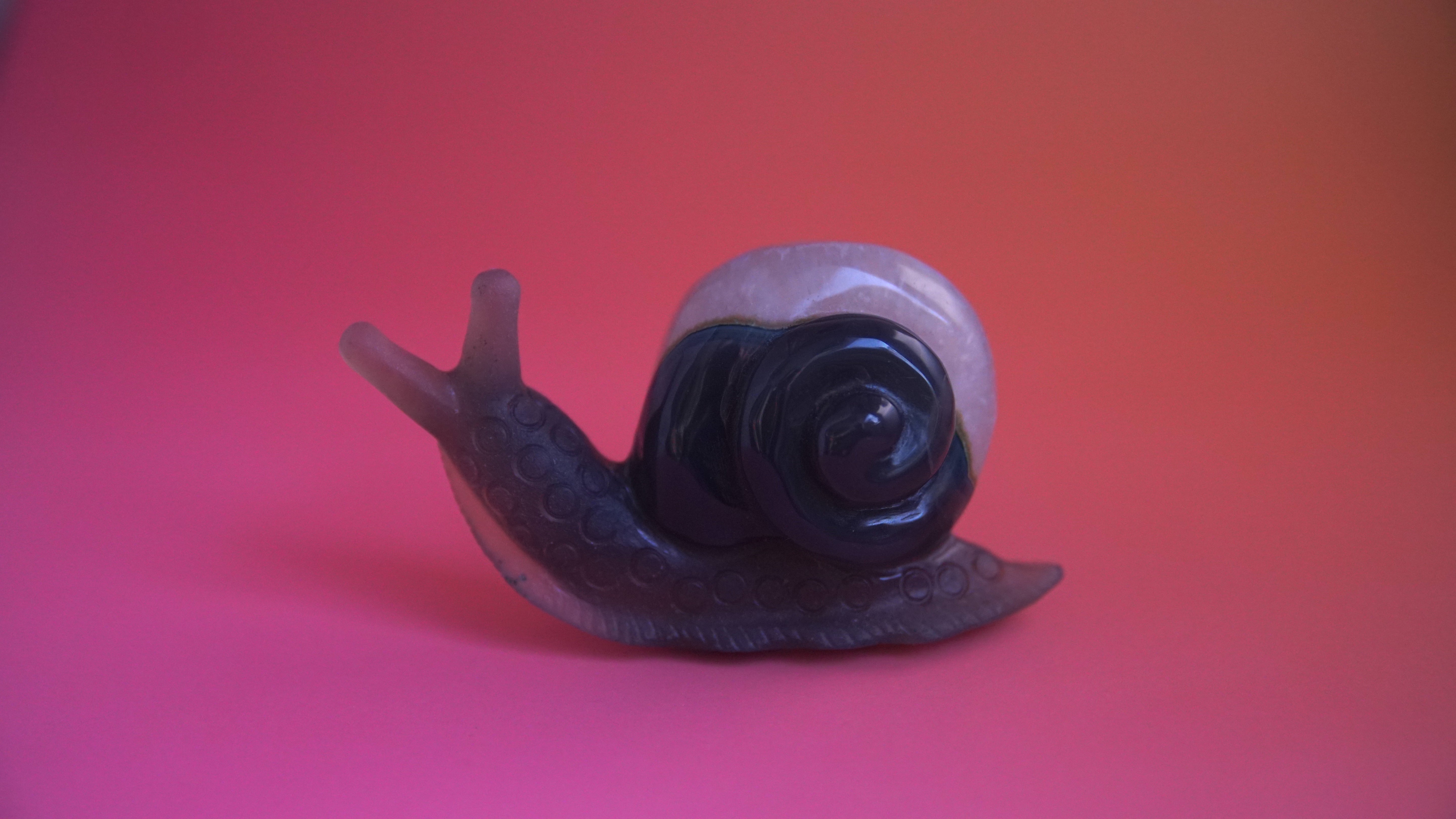 Gorgeous Agate Boutique Snail Carving | Crystal Carving Statement Piece