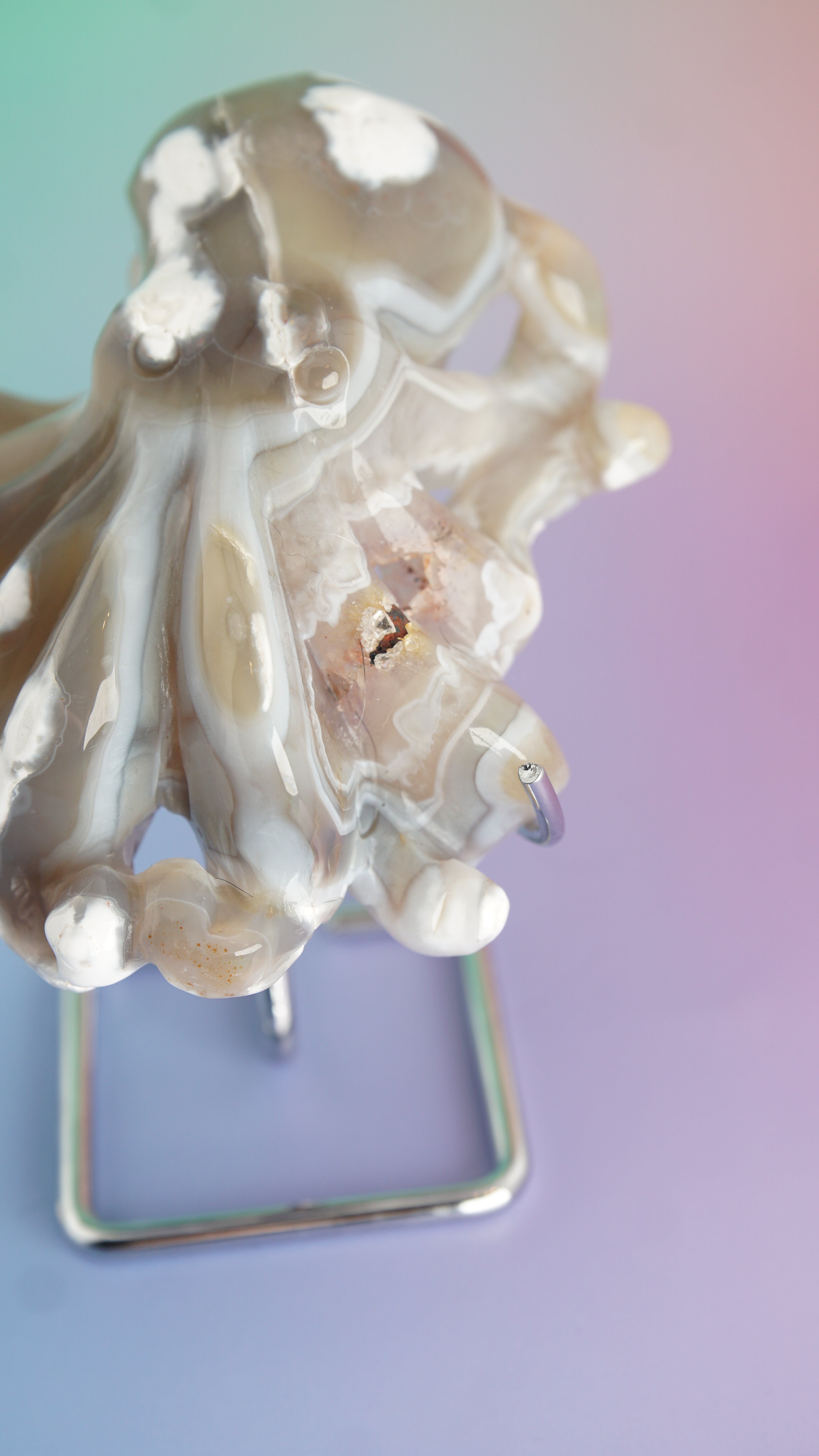 Druzy Orca Agate With Amethyst Octopus Carving (Stand NOT Included)