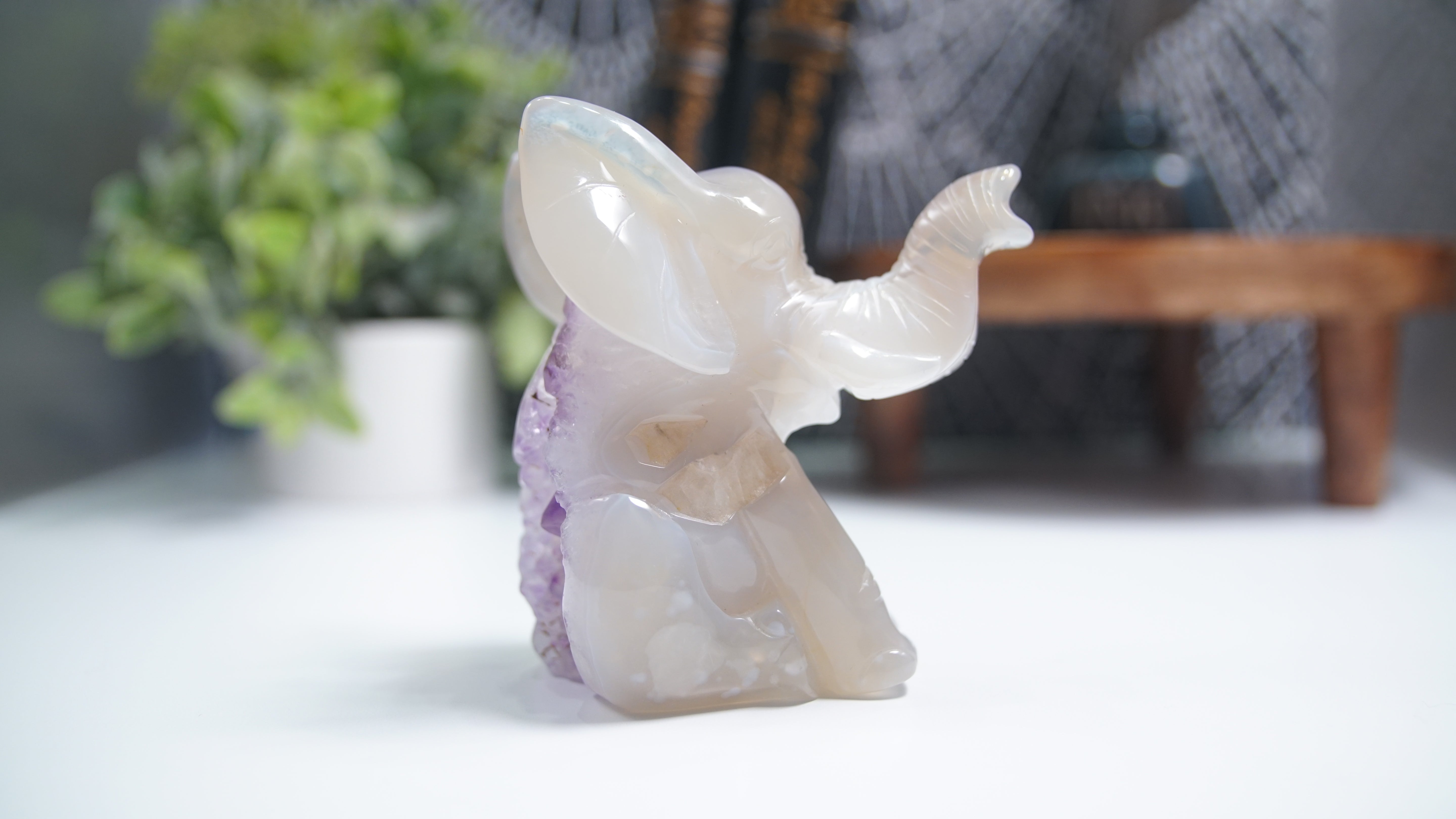 Druzy Agate Amethyst Sitting Elephant Boutique Carving