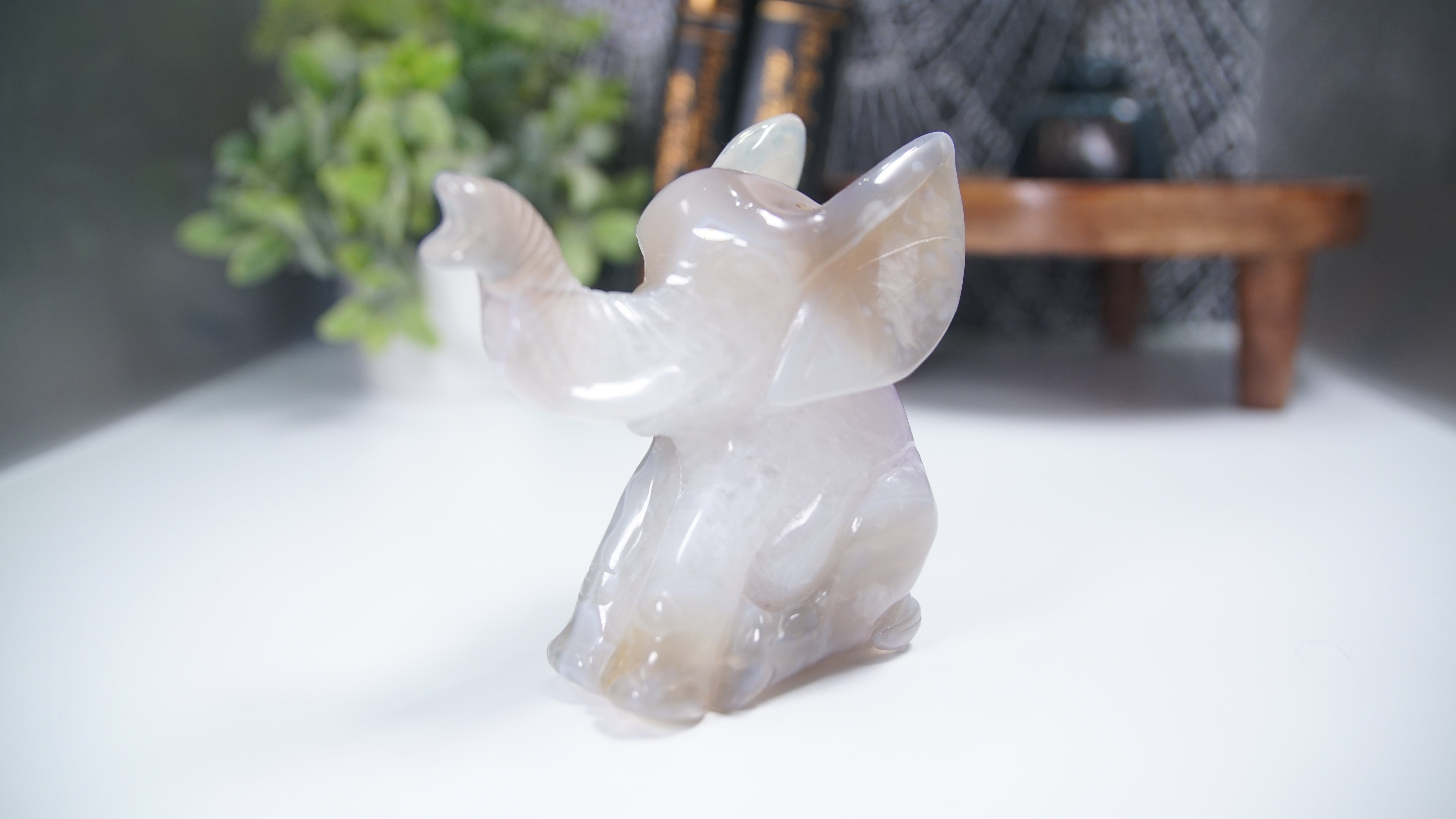 Druzy Agate Amethyst Sitting Elephant Boutique Carving