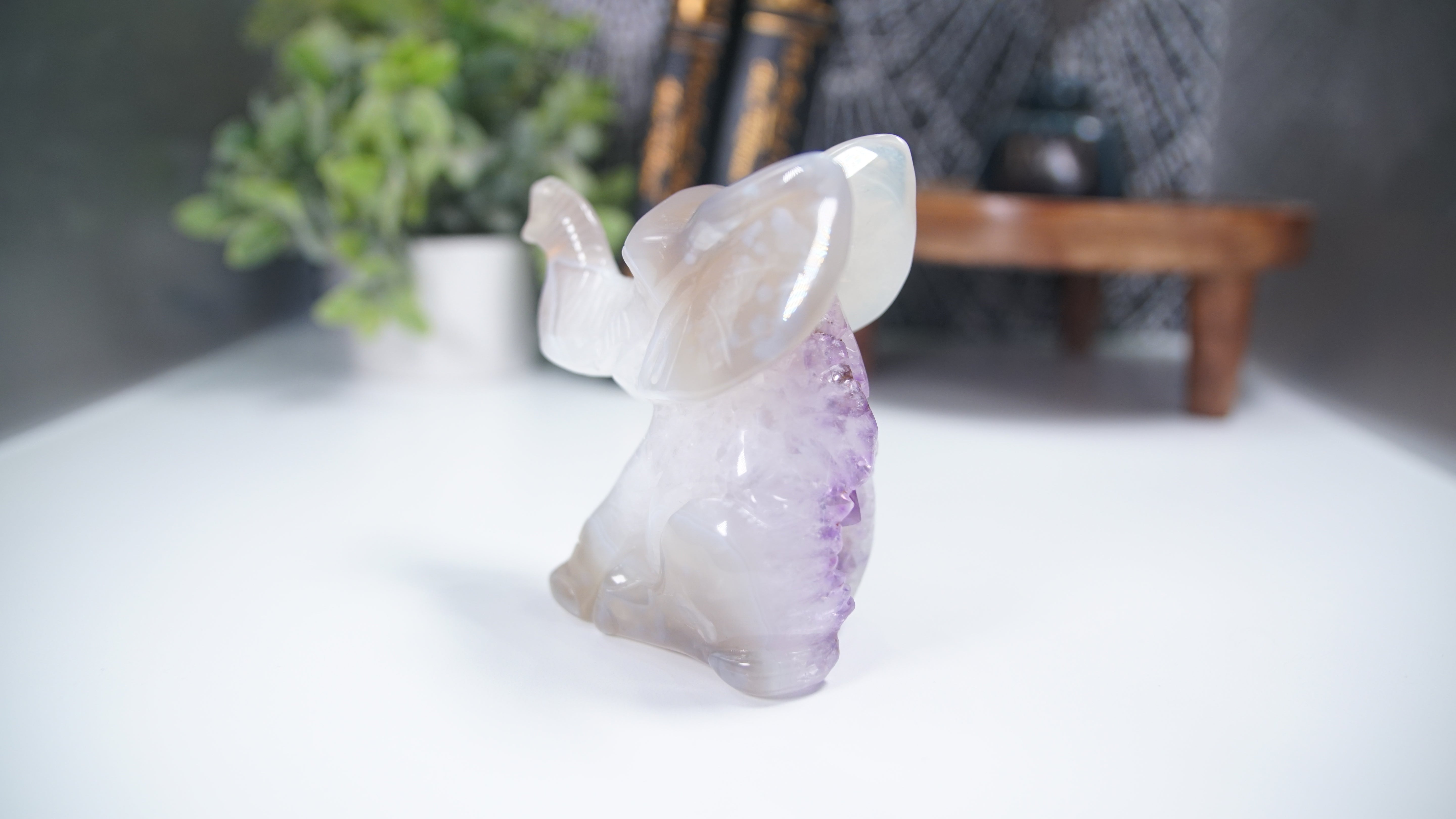 Druzy Agate Amethyst Sitting Elephant Boutique Carving