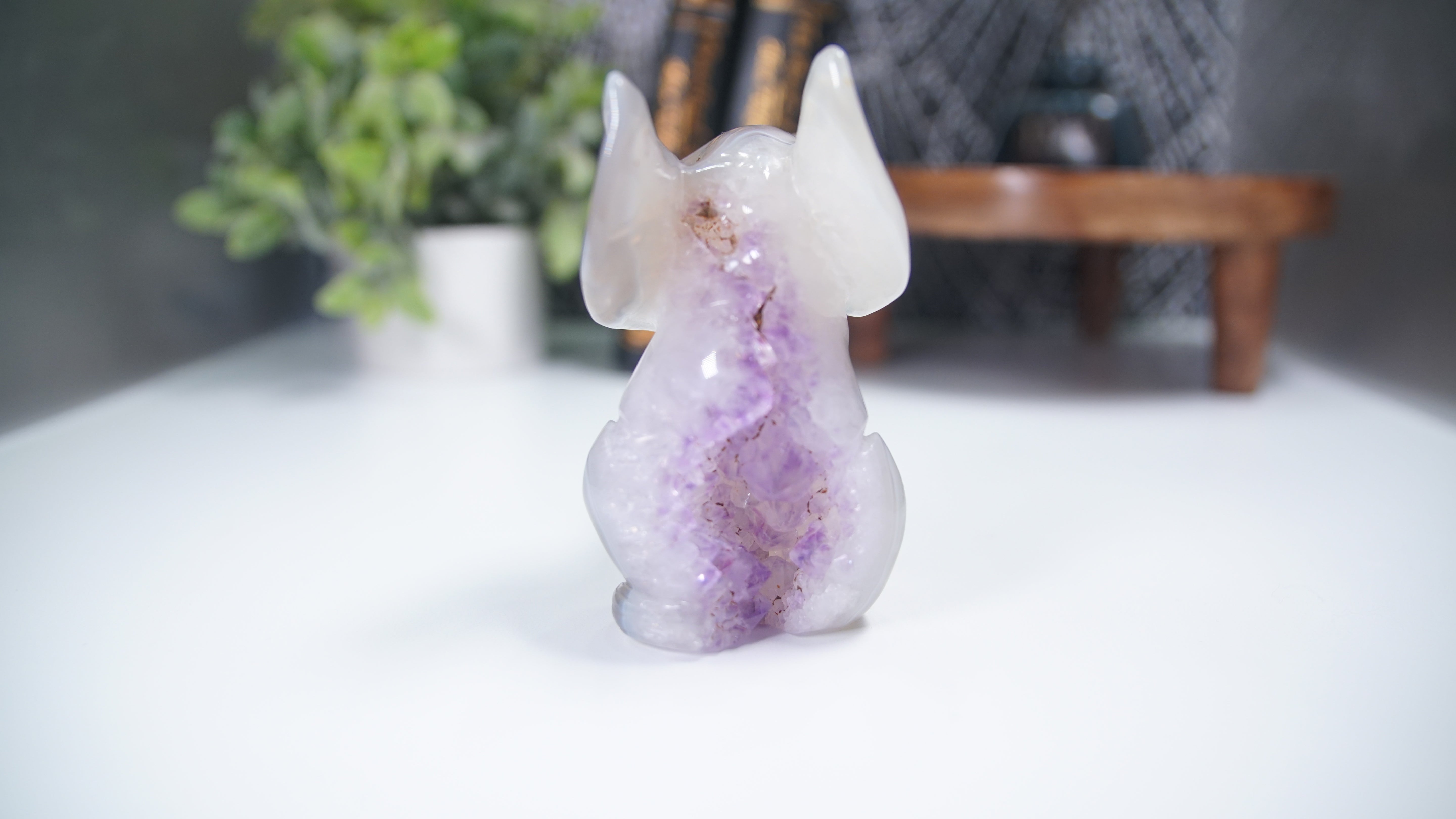 Druzy Agate Amethyst Sitting Elephant Boutique Carving