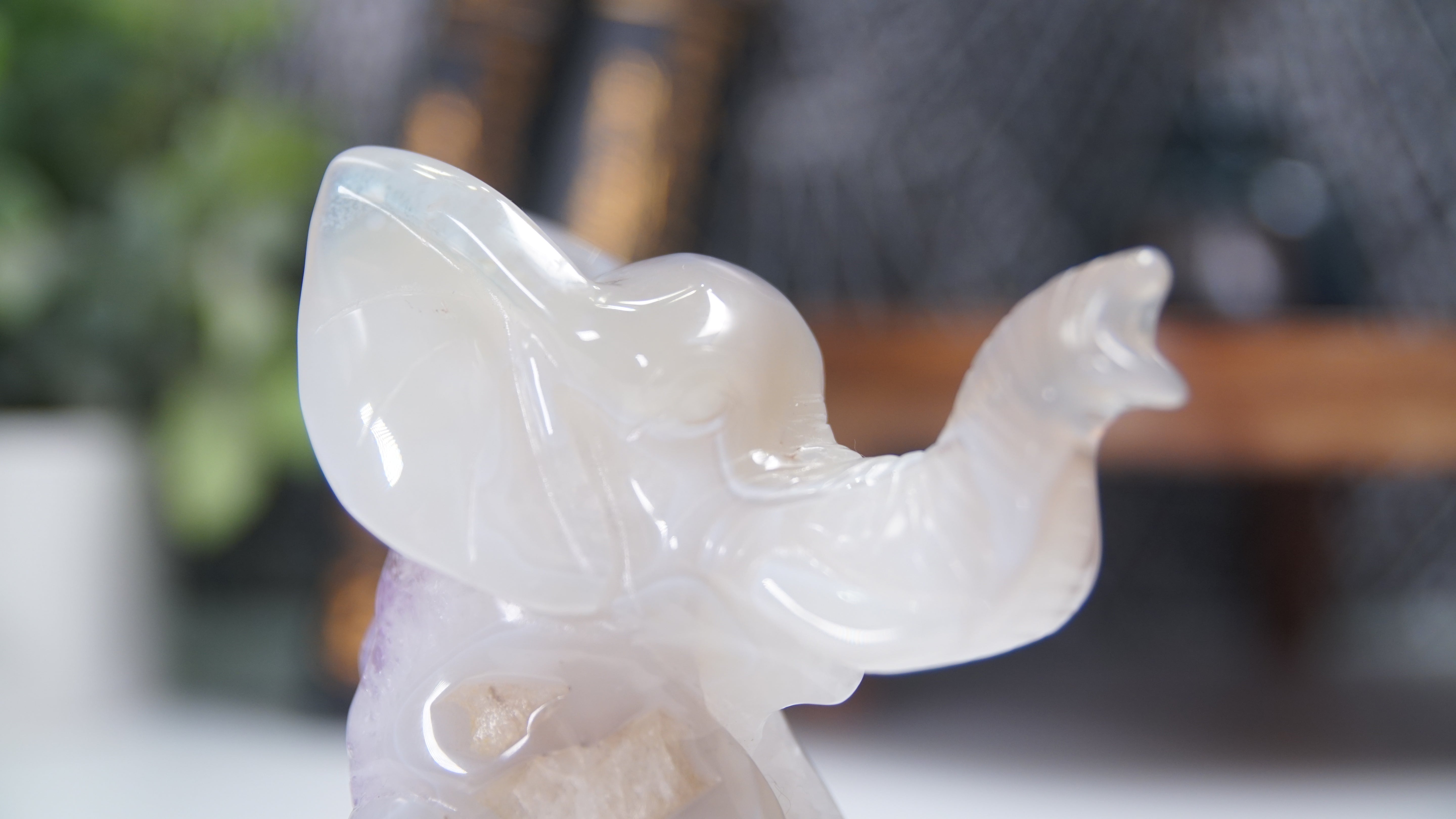 Druzy Agate Amethyst Sitting Elephant Boutique Carving