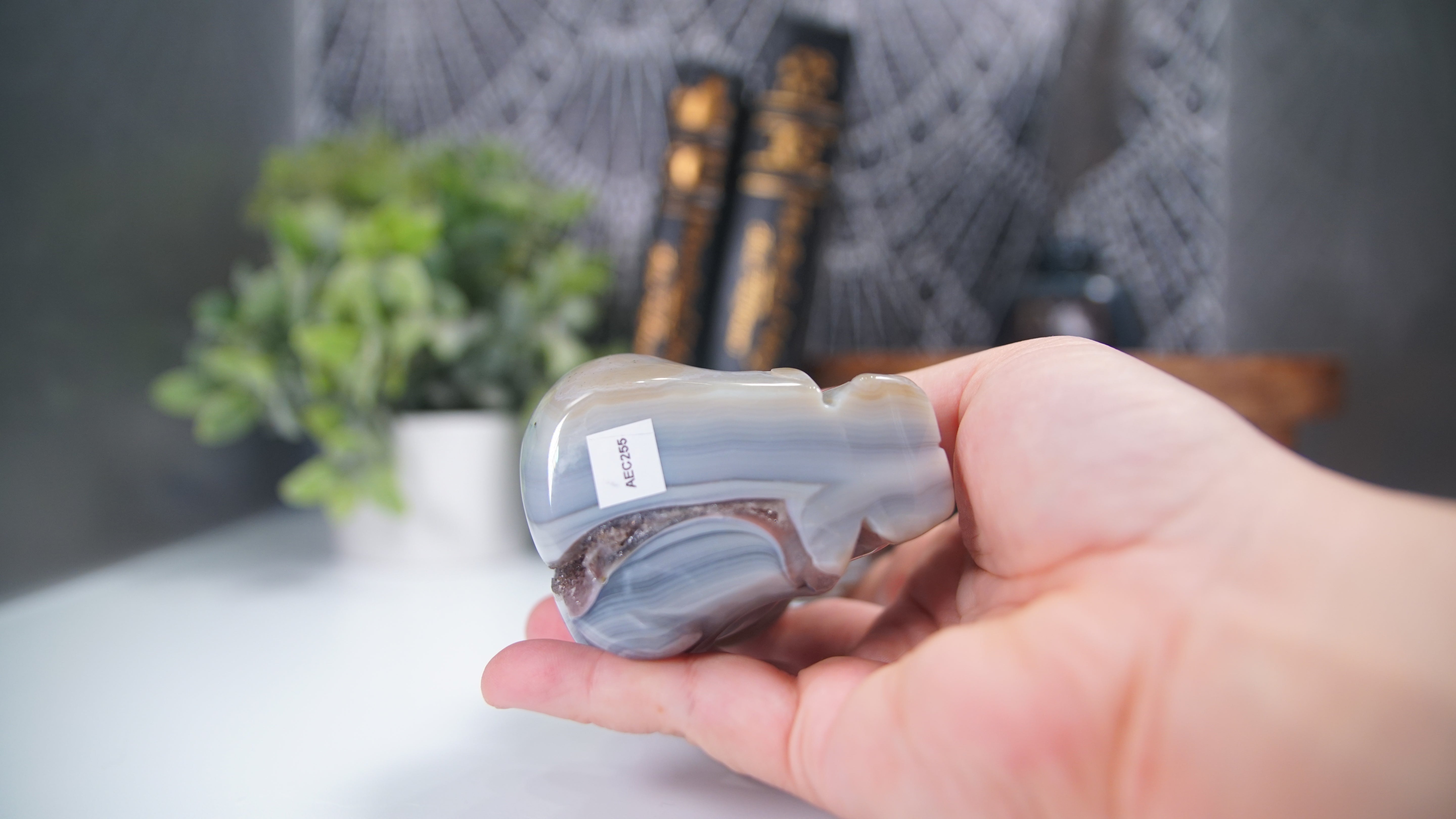 Druzy Agate Amethyst Sitting Elephant Boutique Carving